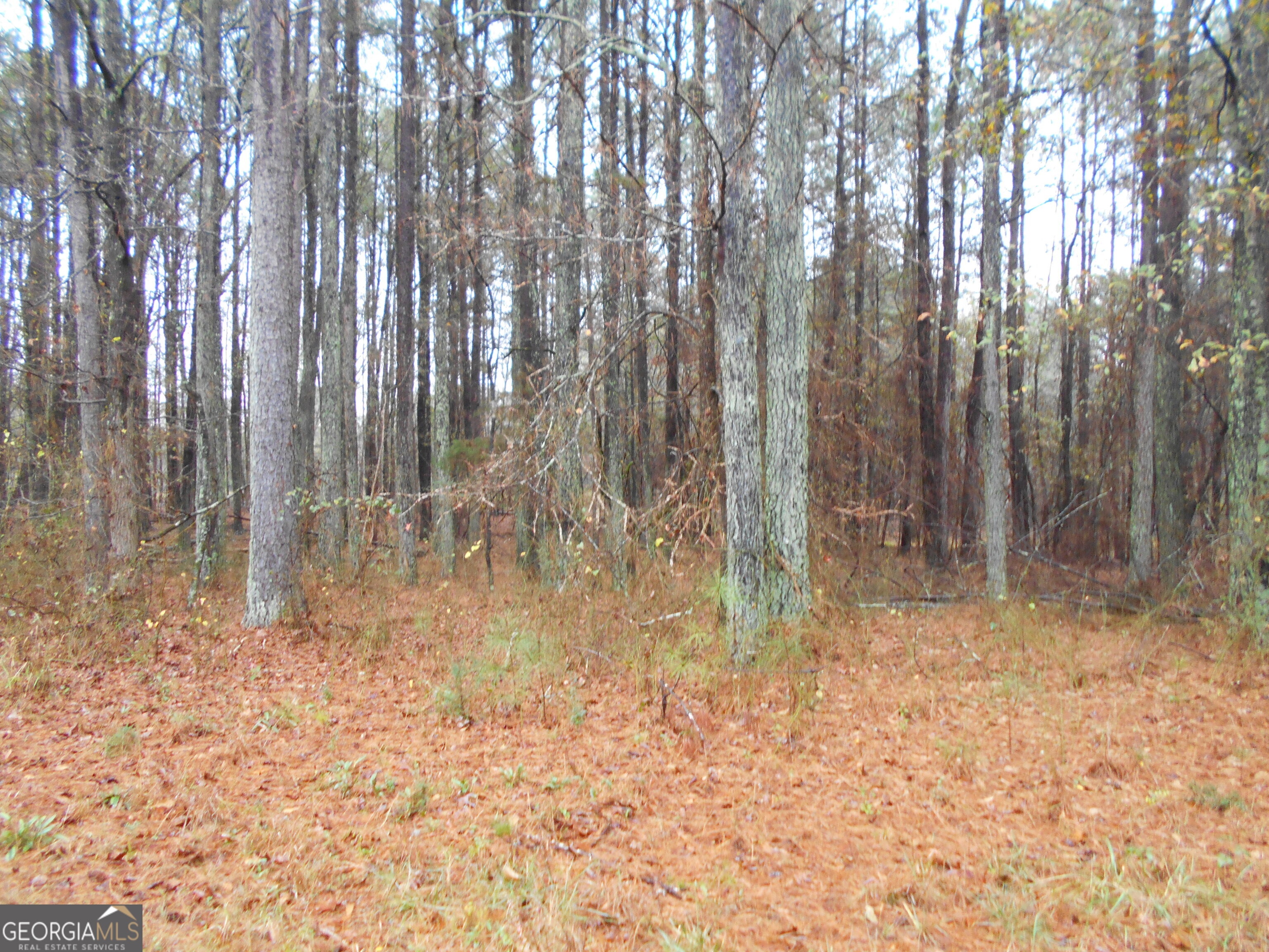 7-acres Youth Jersey Road Covington, GA 30014 - Photo 20 of 34