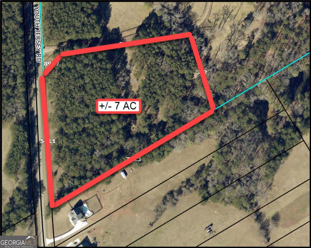 7-acres Youth Jersey Road Covington, GA 30014 - Photo 2 of 34