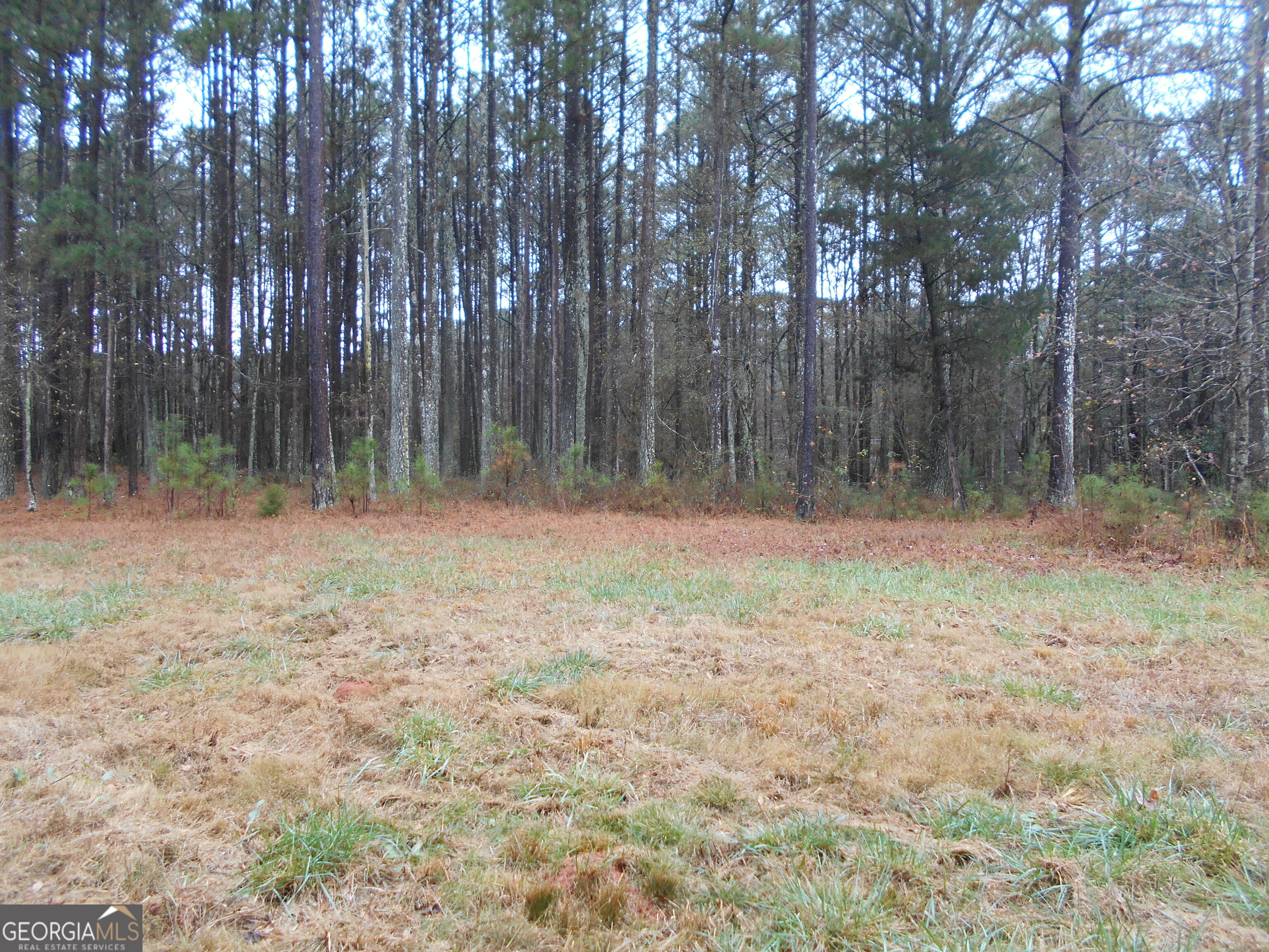 7-acres Youth Jersey Road Covington, GA 30014 - Photo 23 of 34
