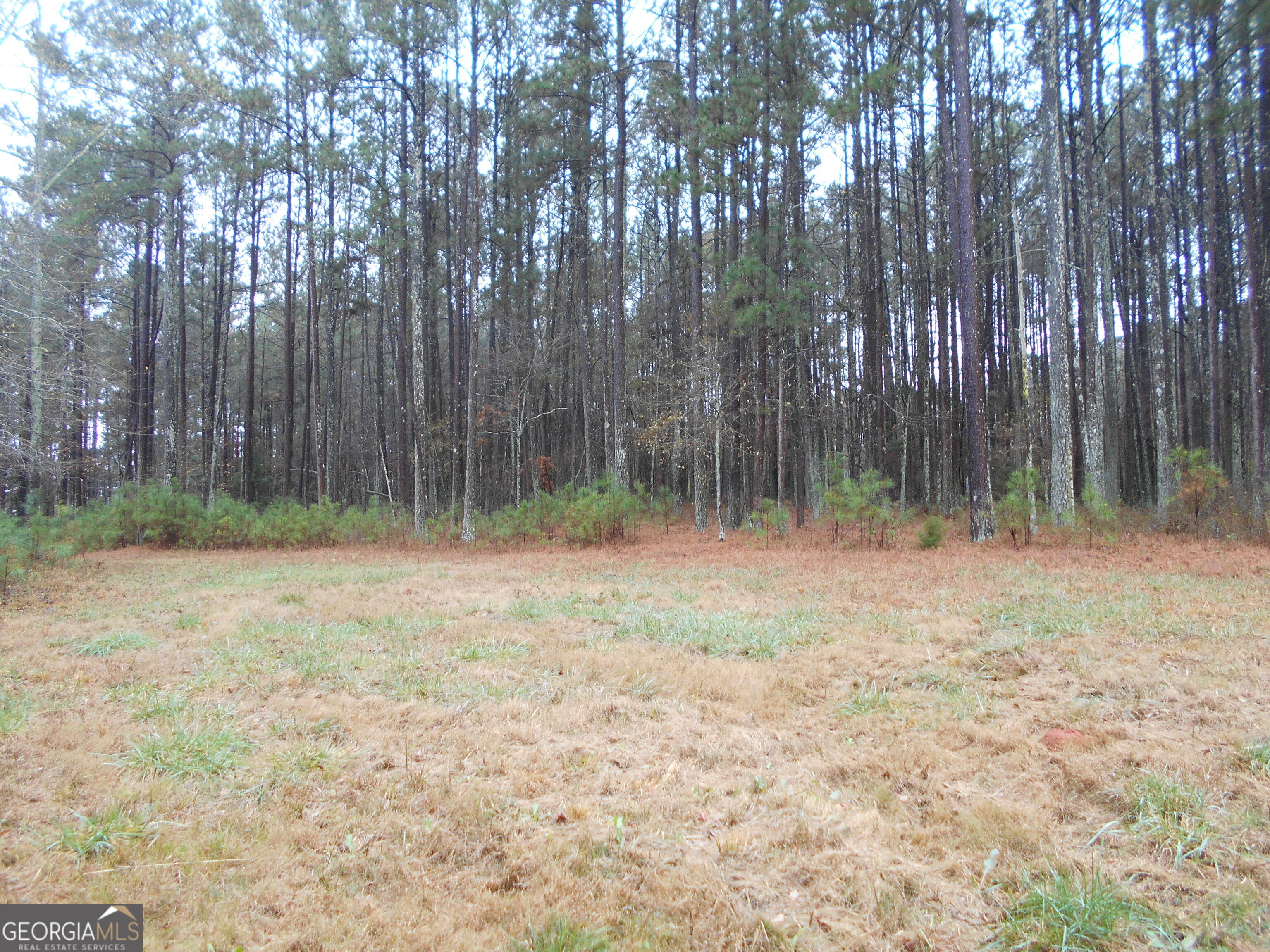 7-acres Youth Jersey Road Covington, GA 30014 - Photo 24 of 34