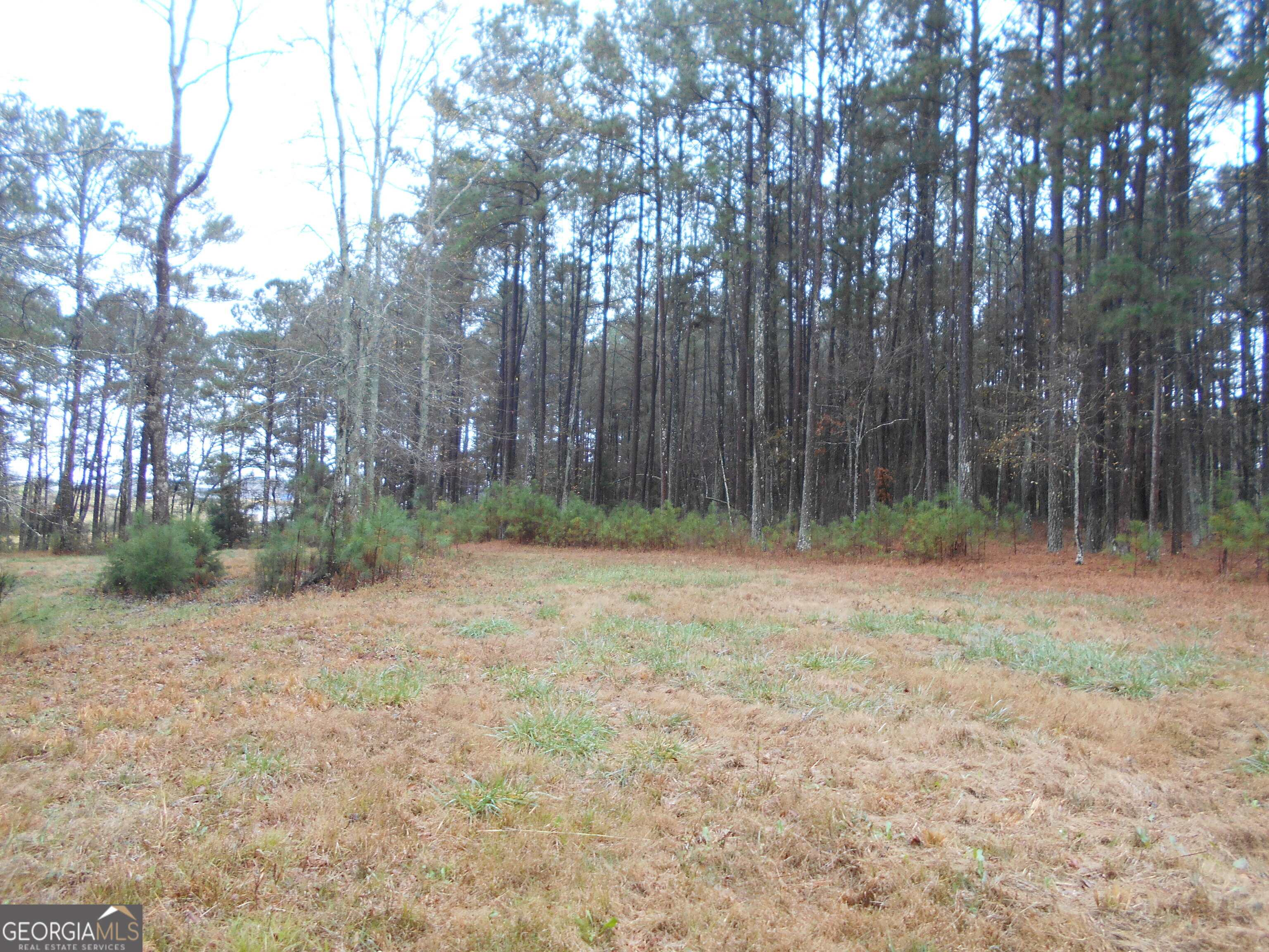 7-acres Youth Jersey Road Covington, GA 30014 - Photo 25 of 34