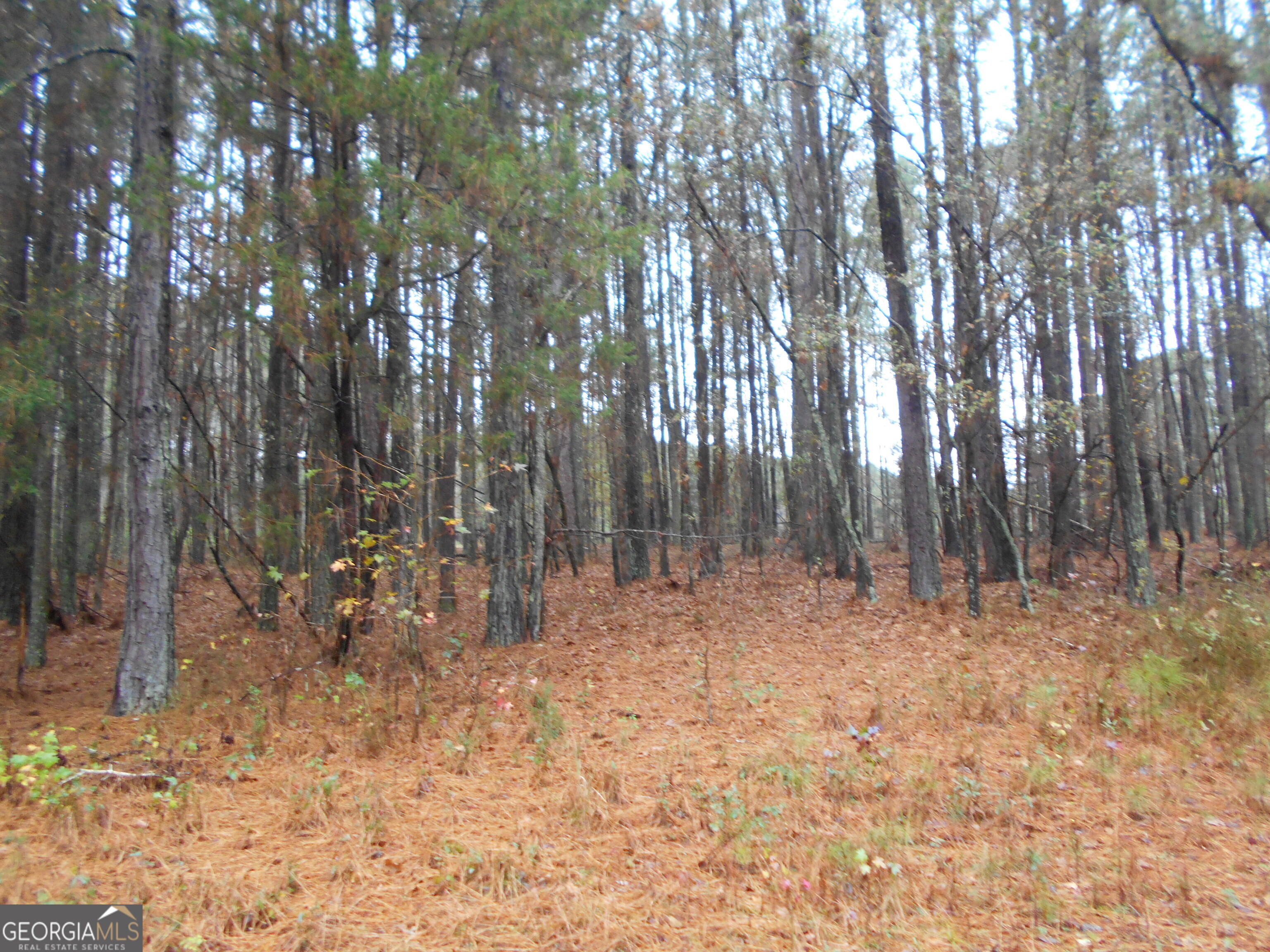7-acres Youth Jersey Road Covington, GA 30014 - Photo 26 of 34
