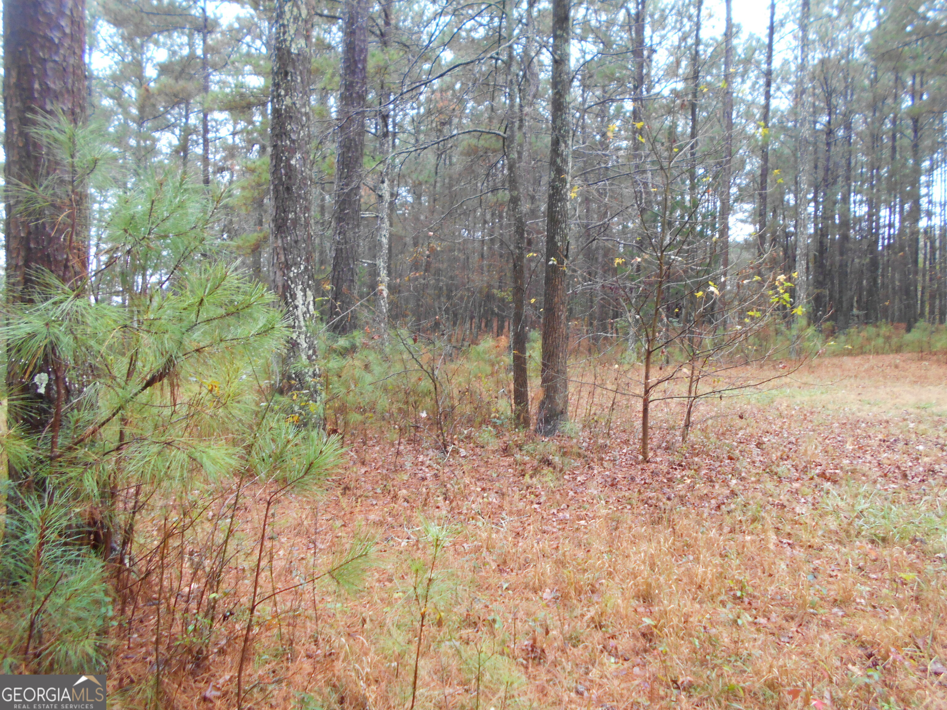 7-acres Youth Jersey Road Covington, GA 30014 - Photo 27 of 34