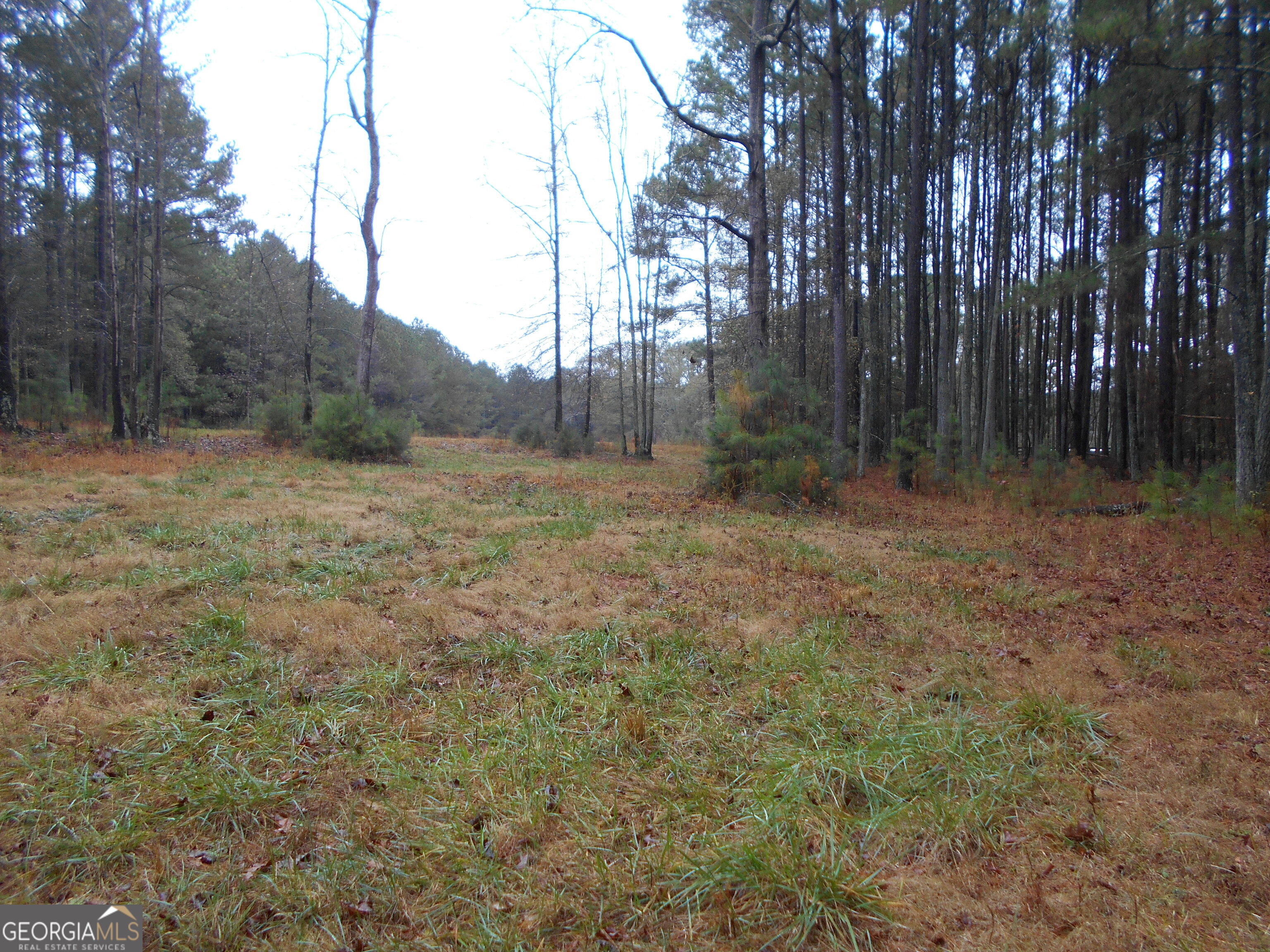 7-acres Youth Jersey Road Covington, GA 30014 - Photo 28 of 34