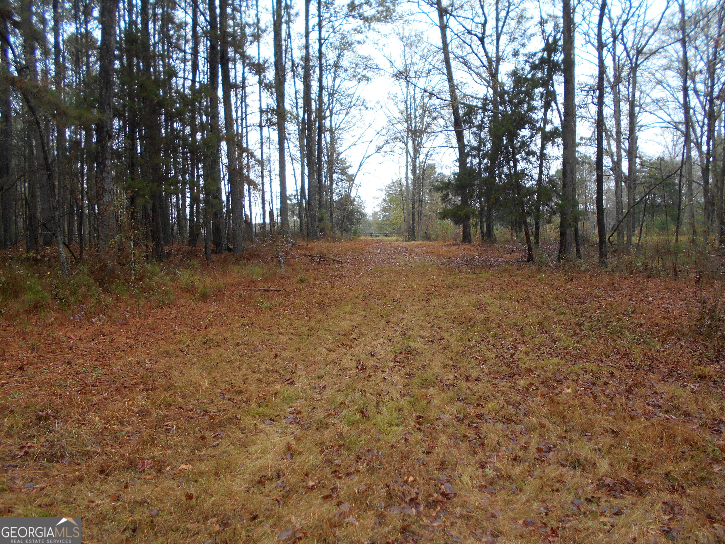 7-acres Youth Jersey Road Covington, GA 30014 - Photo 29 of 34