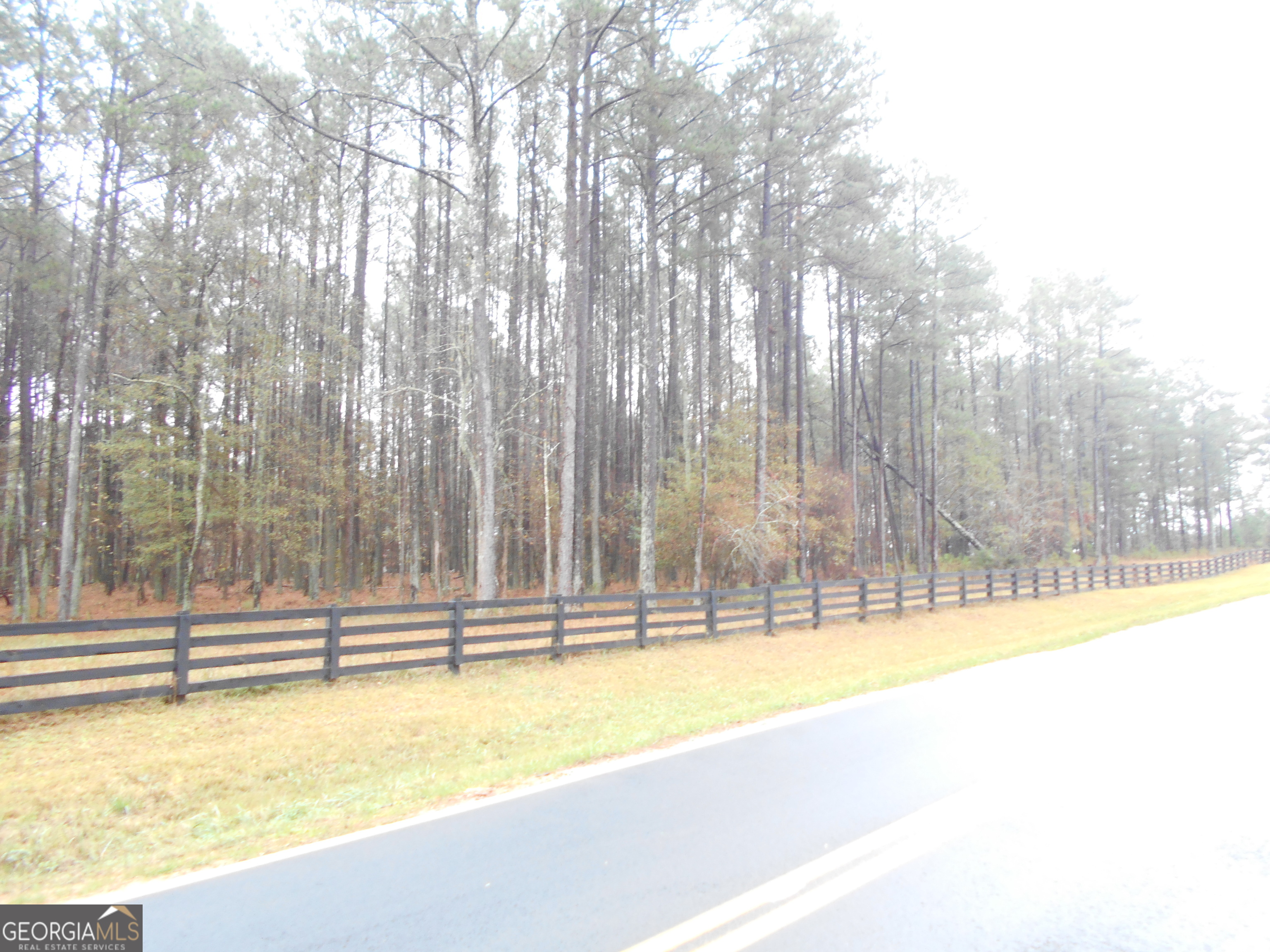 7-acres Youth Jersey Road Covington, GA 30014 - Photo 4 of 34