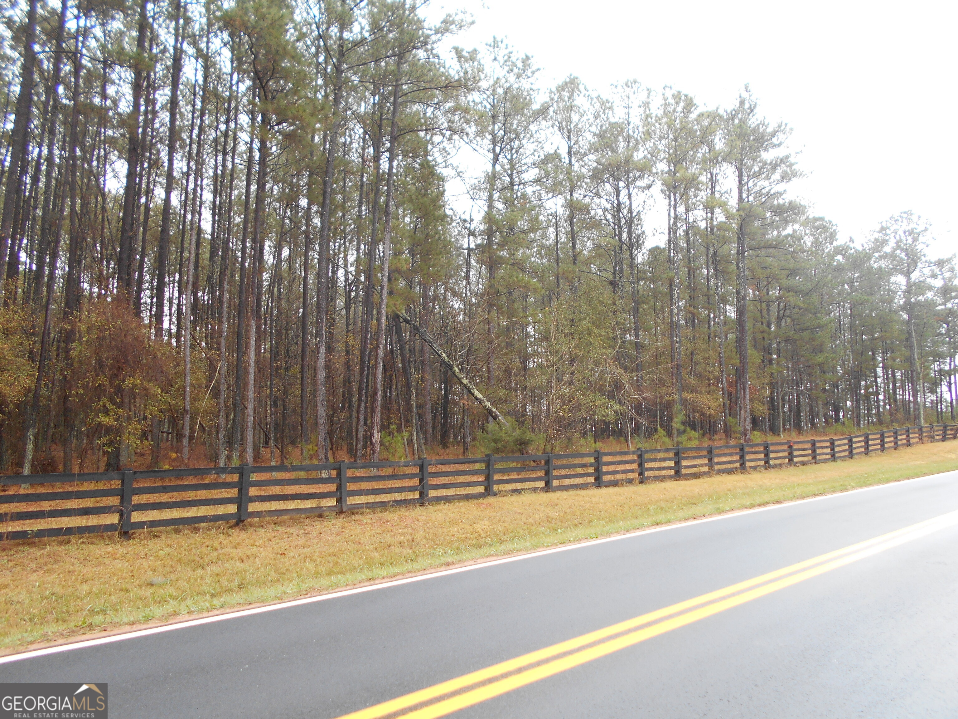 7-acres Youth Jersey Road Covington, GA 30014 - Photo 6 of 34