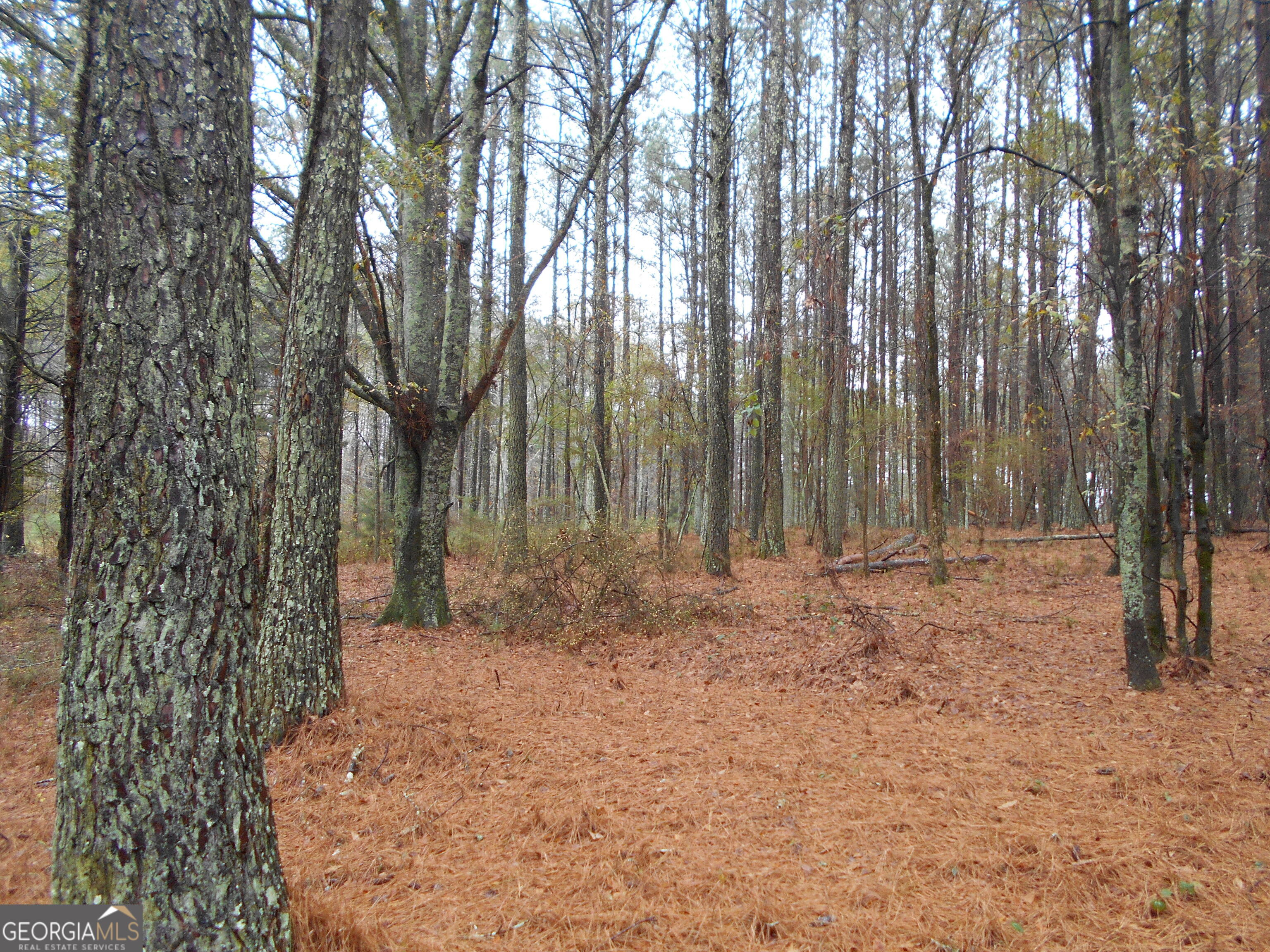 7-acres Youth Jersey Road Covington, GA 30014 - Photo 10 of 34