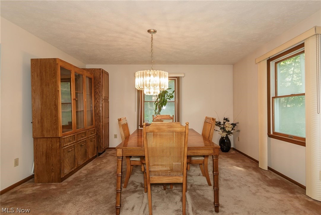 10599 Chardon Road Chardon, OH 44024 - Photo 8 of 35 Gallery Image 8