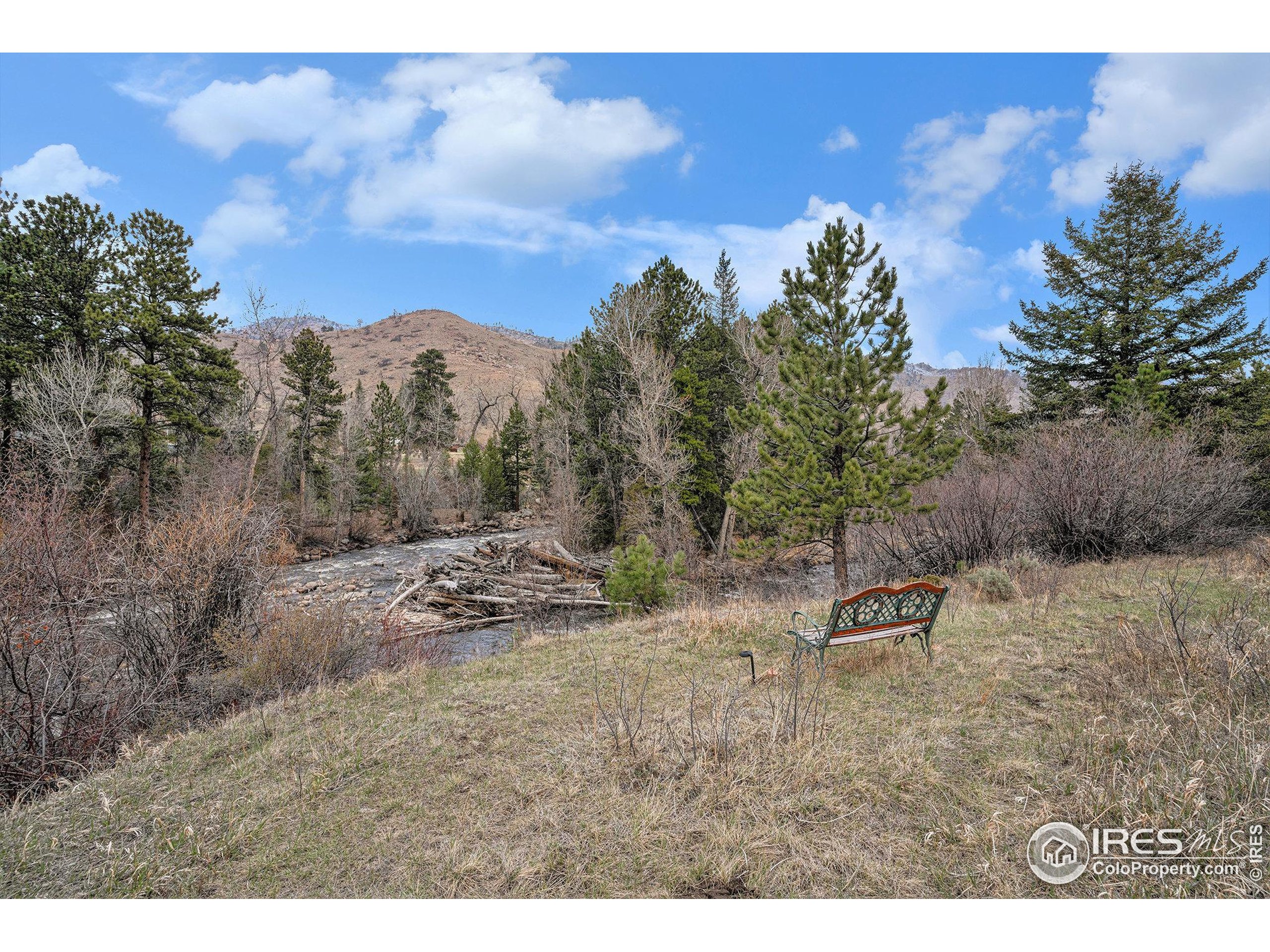 504 Rustic Road Bellvue, CO 80512 - Photo 3 of 39