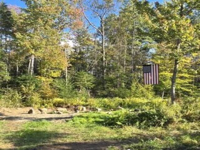 232 Kellogg Mill Road Peacham, VT 05658 - Photo 3 of 10 Gallery Image 3