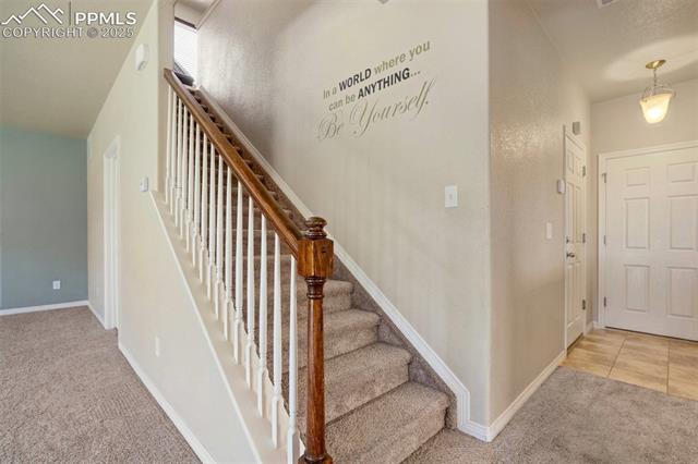 2305 Reed Grass Way Colorado Springs, CO 80915 - Photo 18 of 48