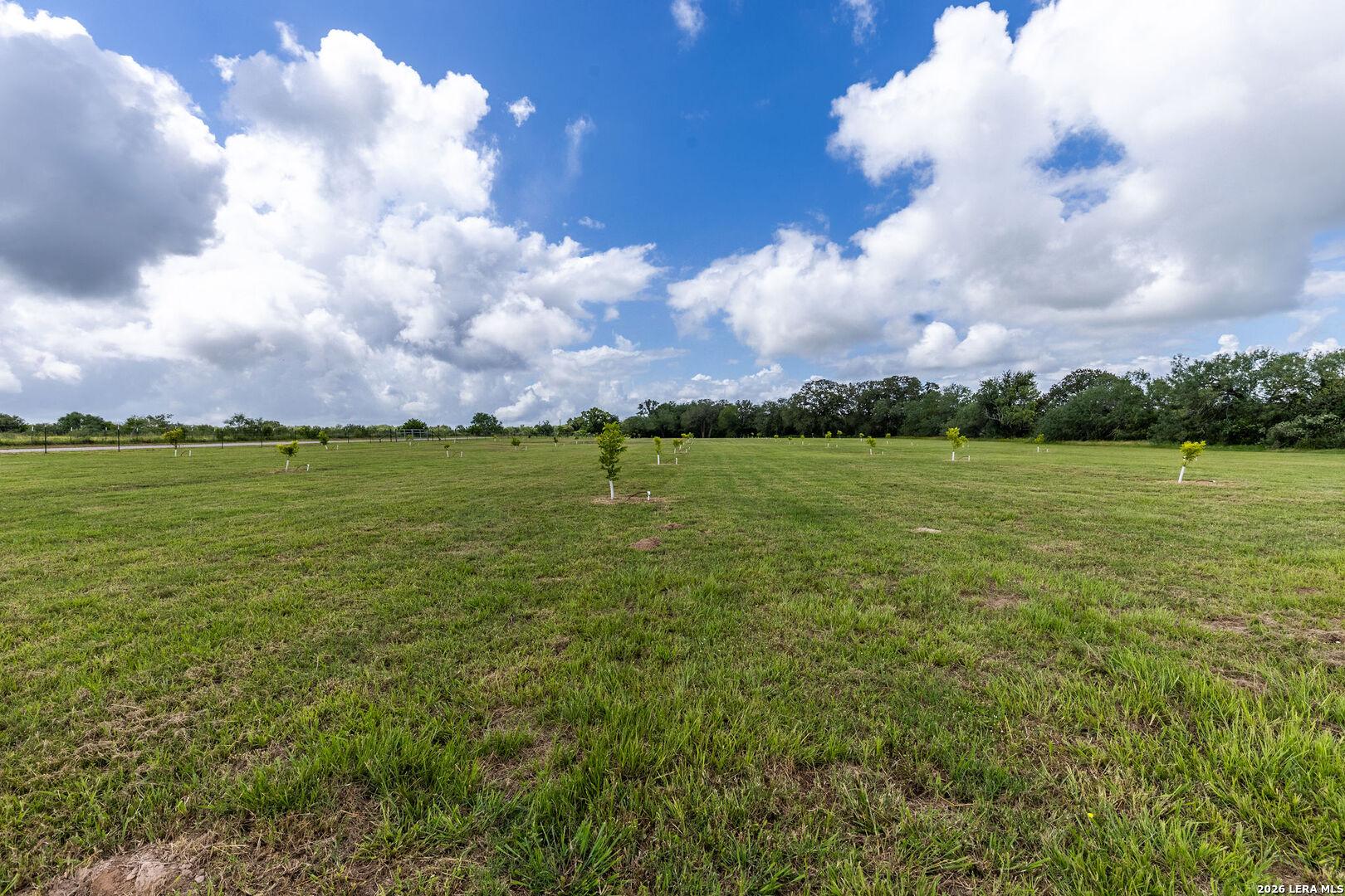 1393 Fox Trotter Road Seguin, TX 78155 - Photo 36 of 46