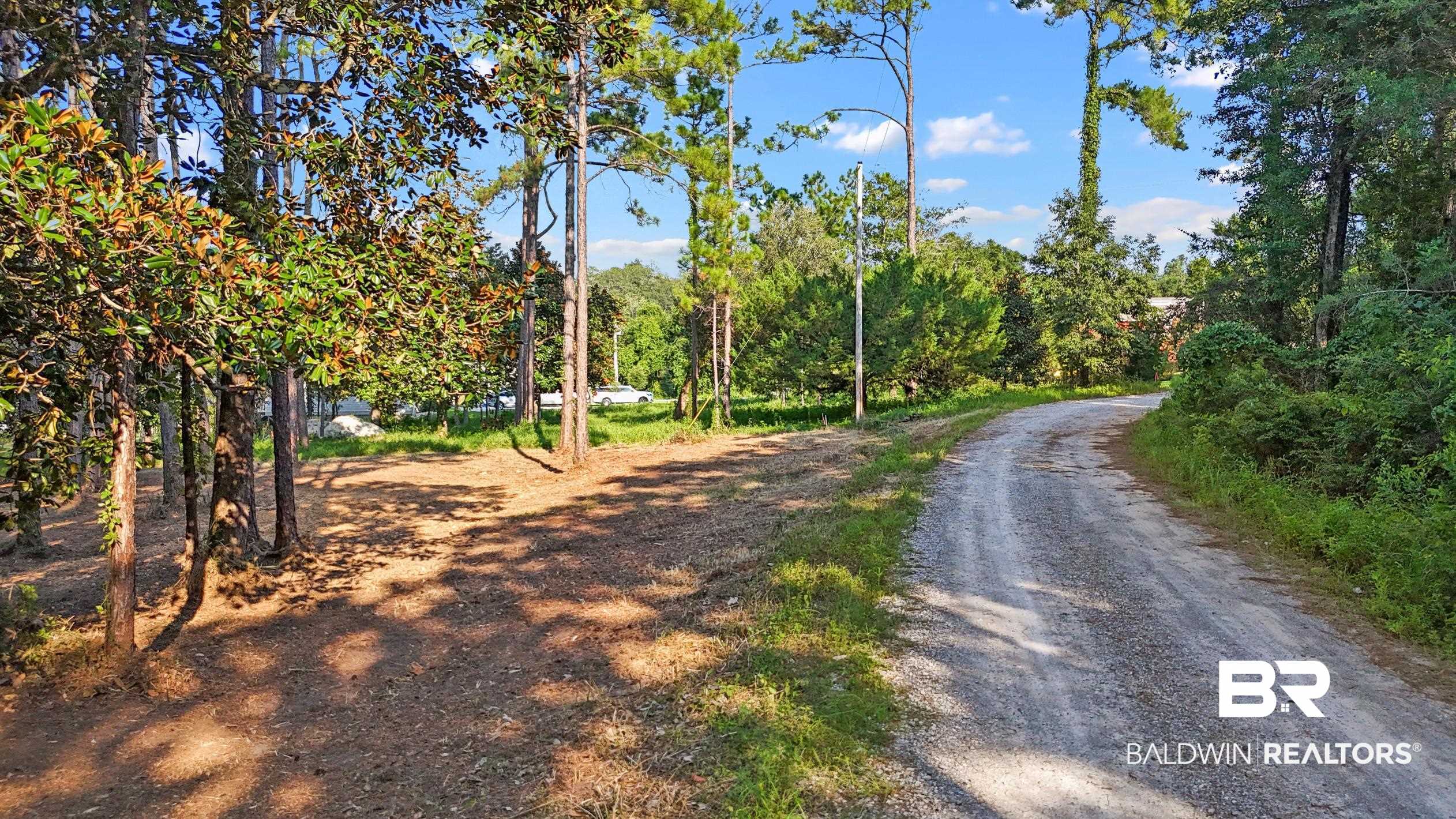 4 South Bayou Drive Elberta, AL 36530 - Photo 3 of 12 View of road