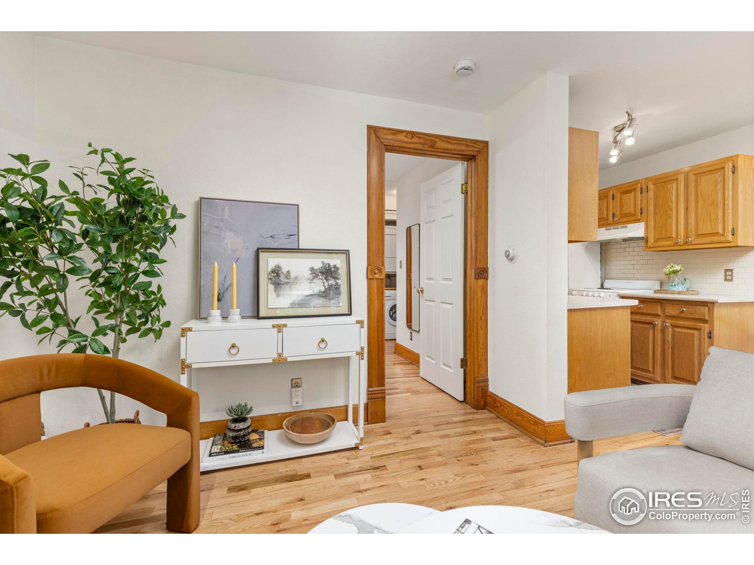 1430 18th Street, Unit 1 Boulder, CO 80302 - Photo 4 of 29 a living room with furniture and a potted plant
