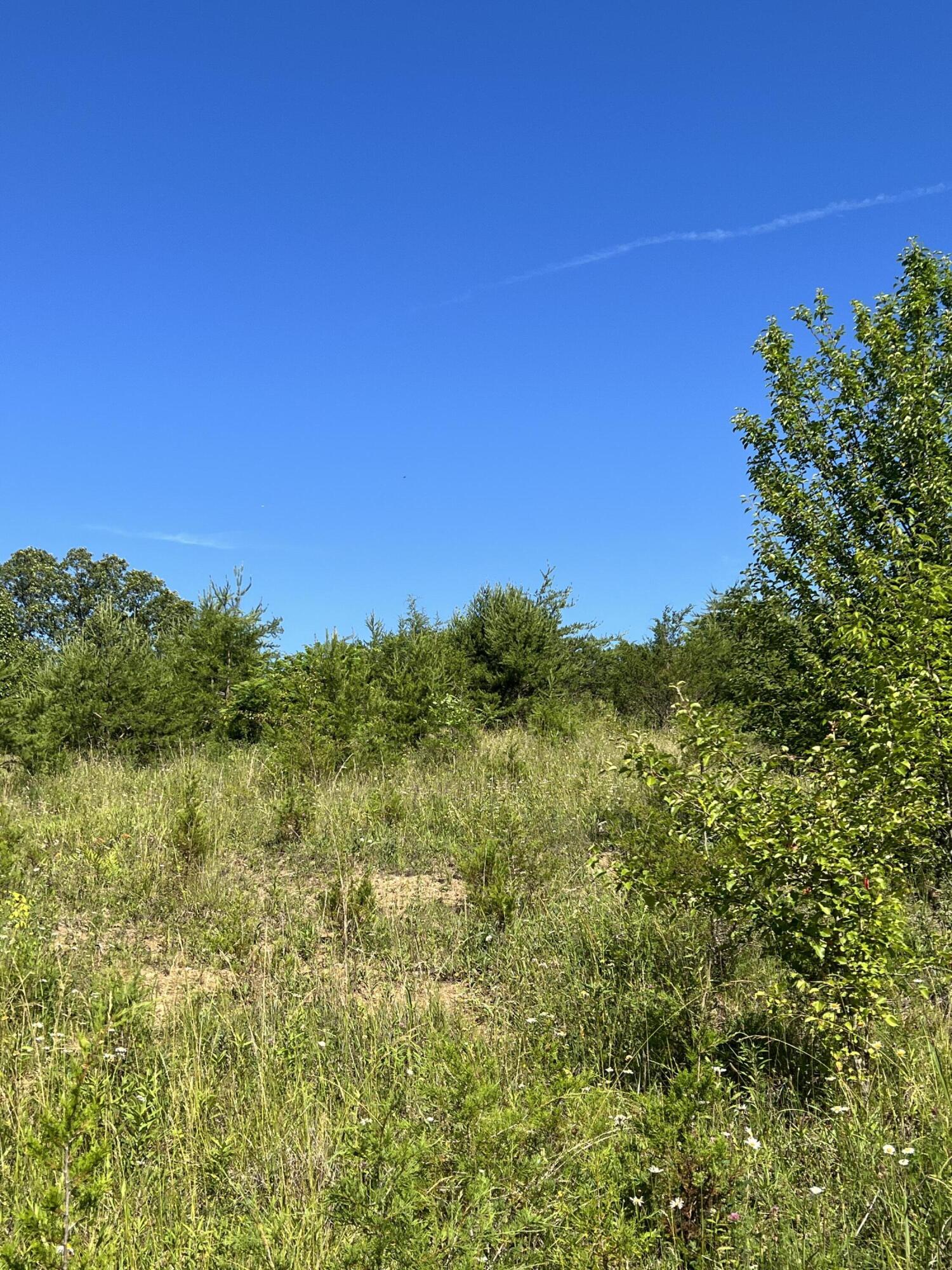 2932 Princeton Road Kingsport, TN 37660 - Photo 3 of 5 IMG-3610