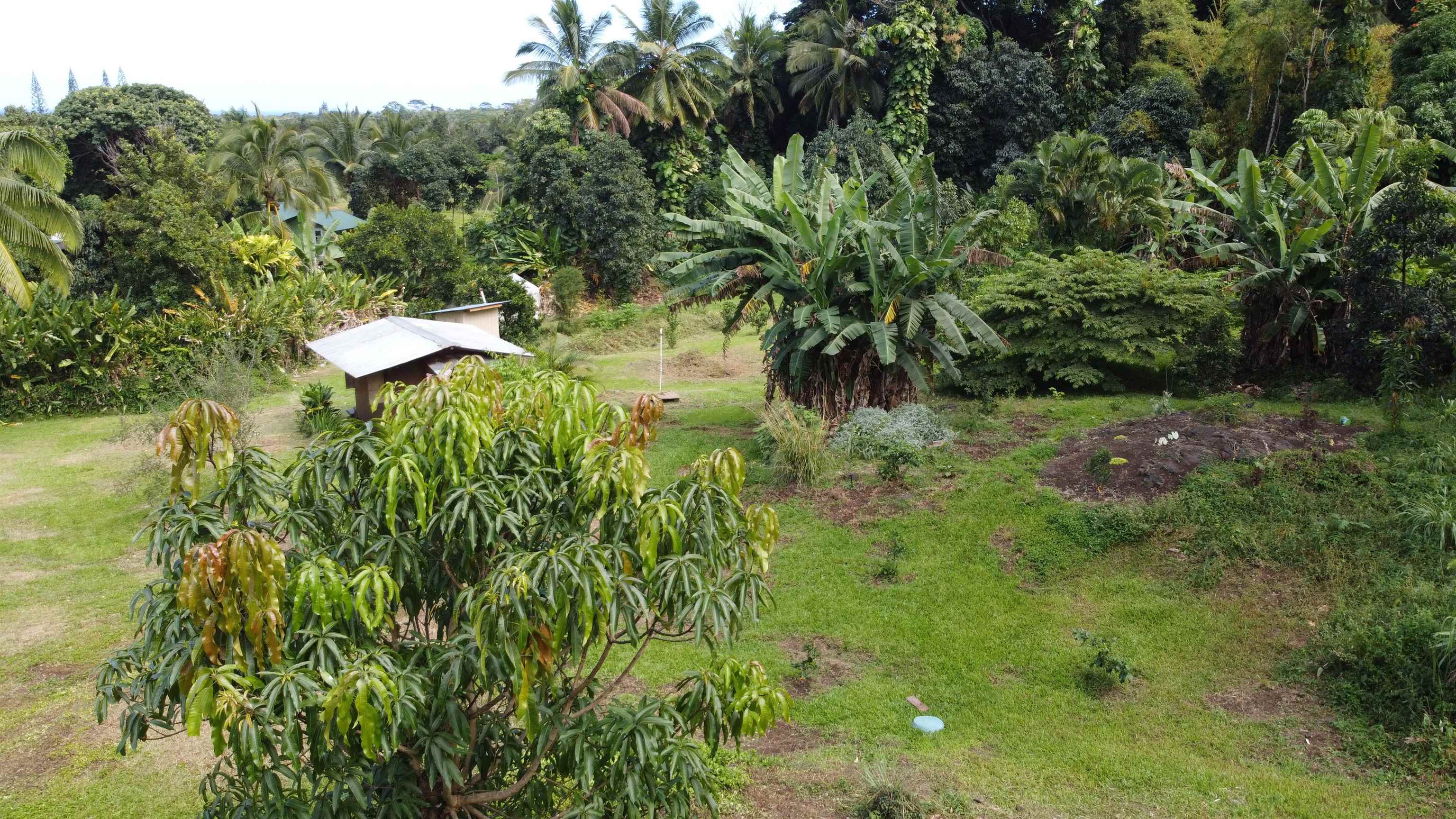 315 Uwala Road Hana, HI 96713 - Photo 12 of 30