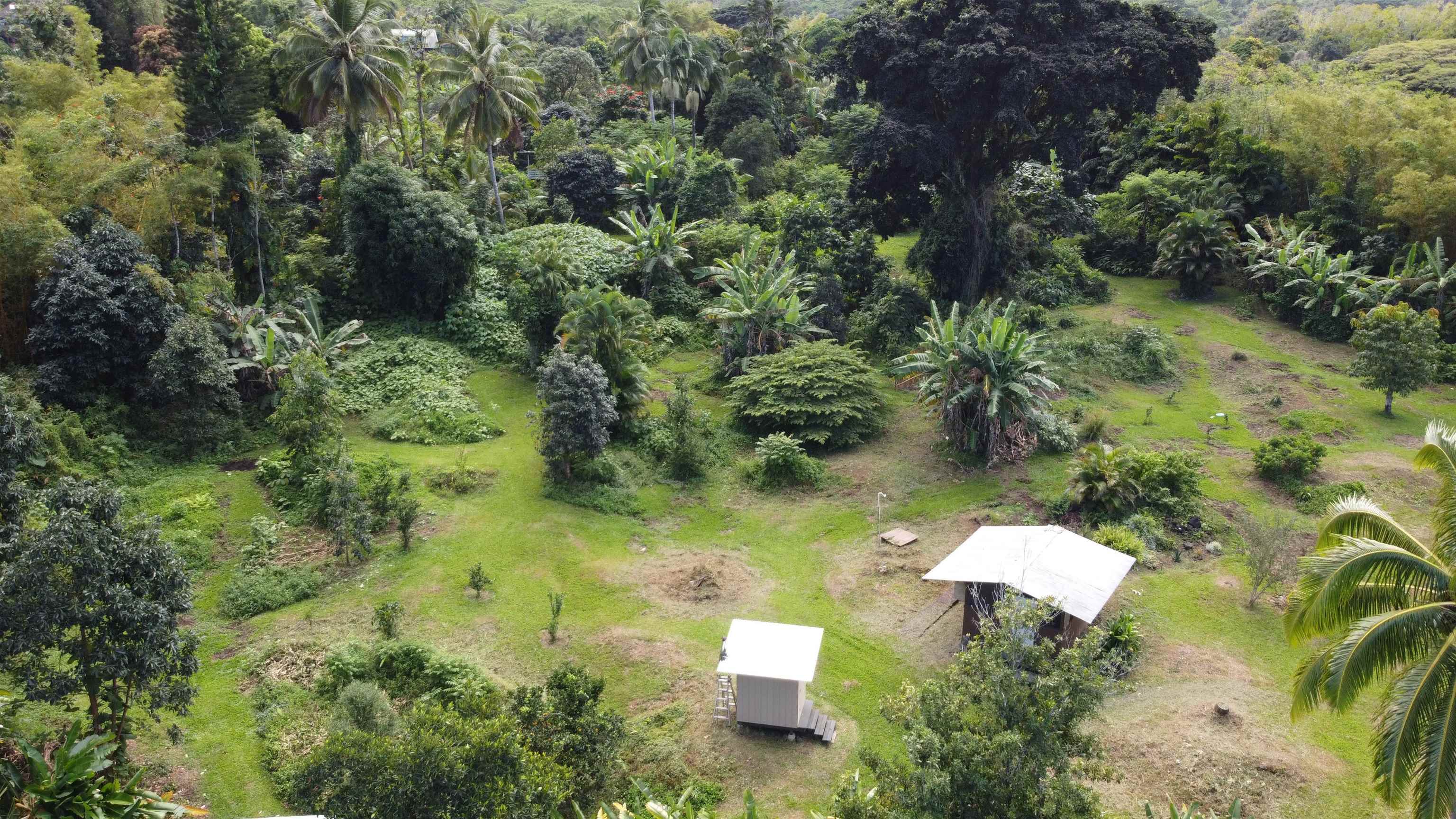 315 Uwala Road Hana, HI 96713 - Photo 13 of 30