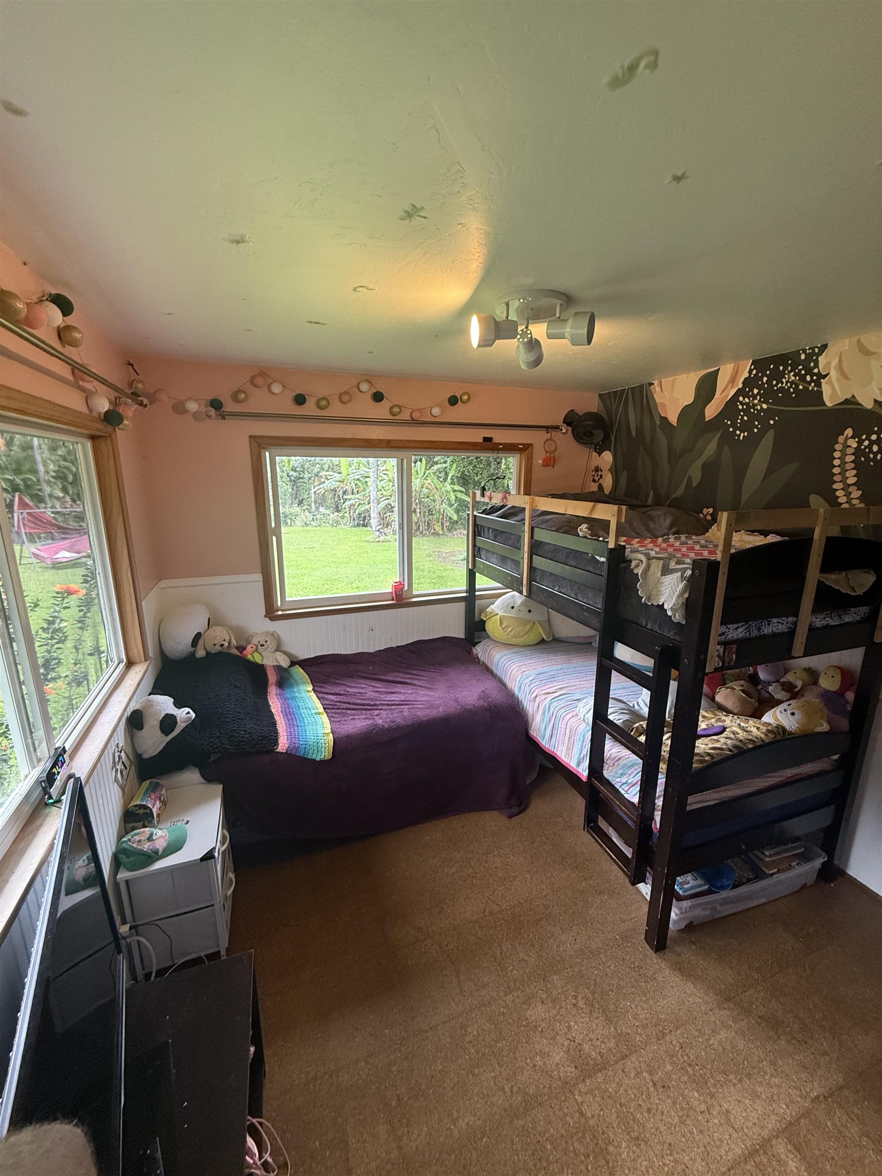 315 Uwala Road Hana, HI 96713 - Photo 20 of 30