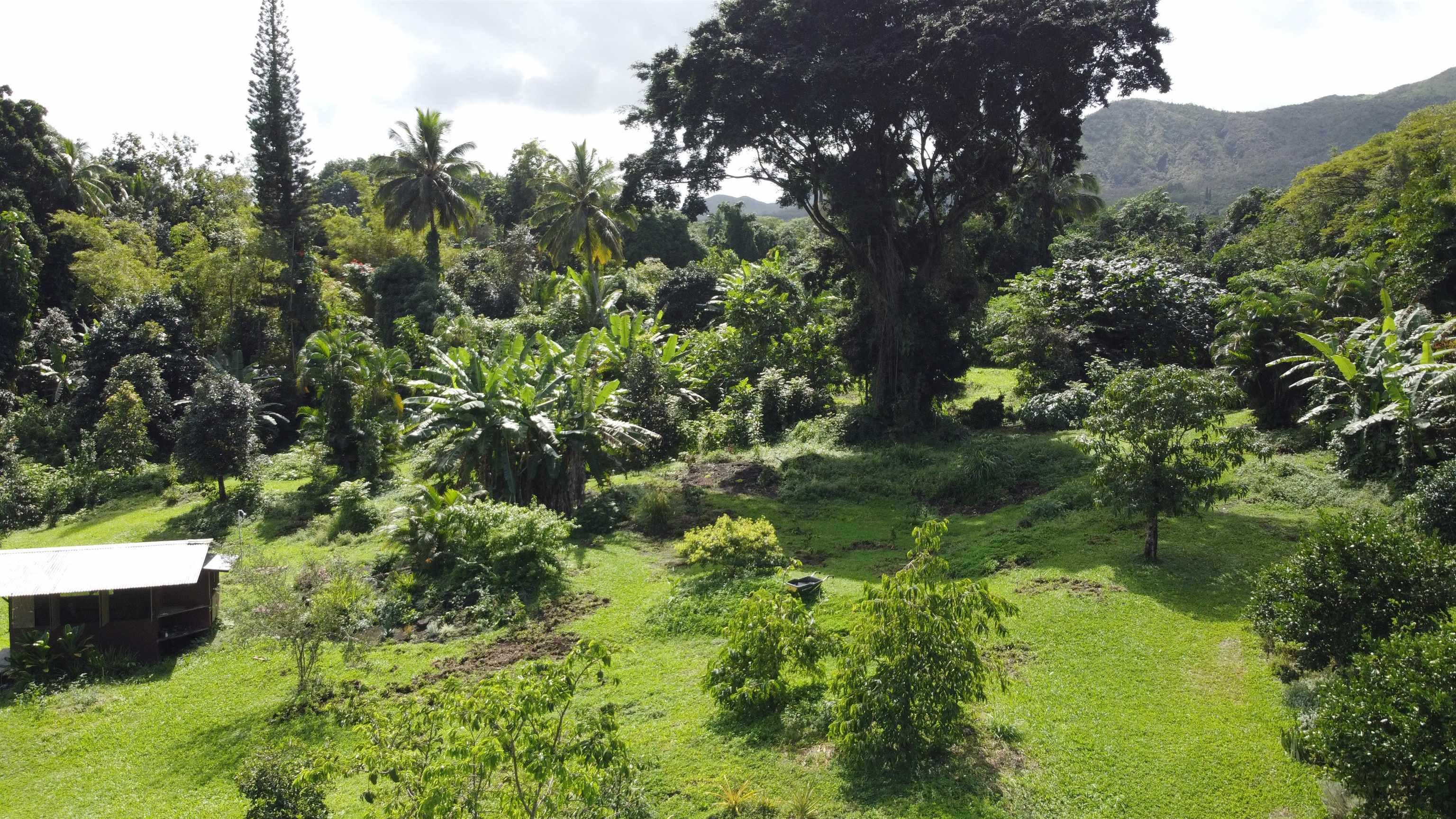 315 Uwala Road Hana, HI 96713 - Photo 2 of 30