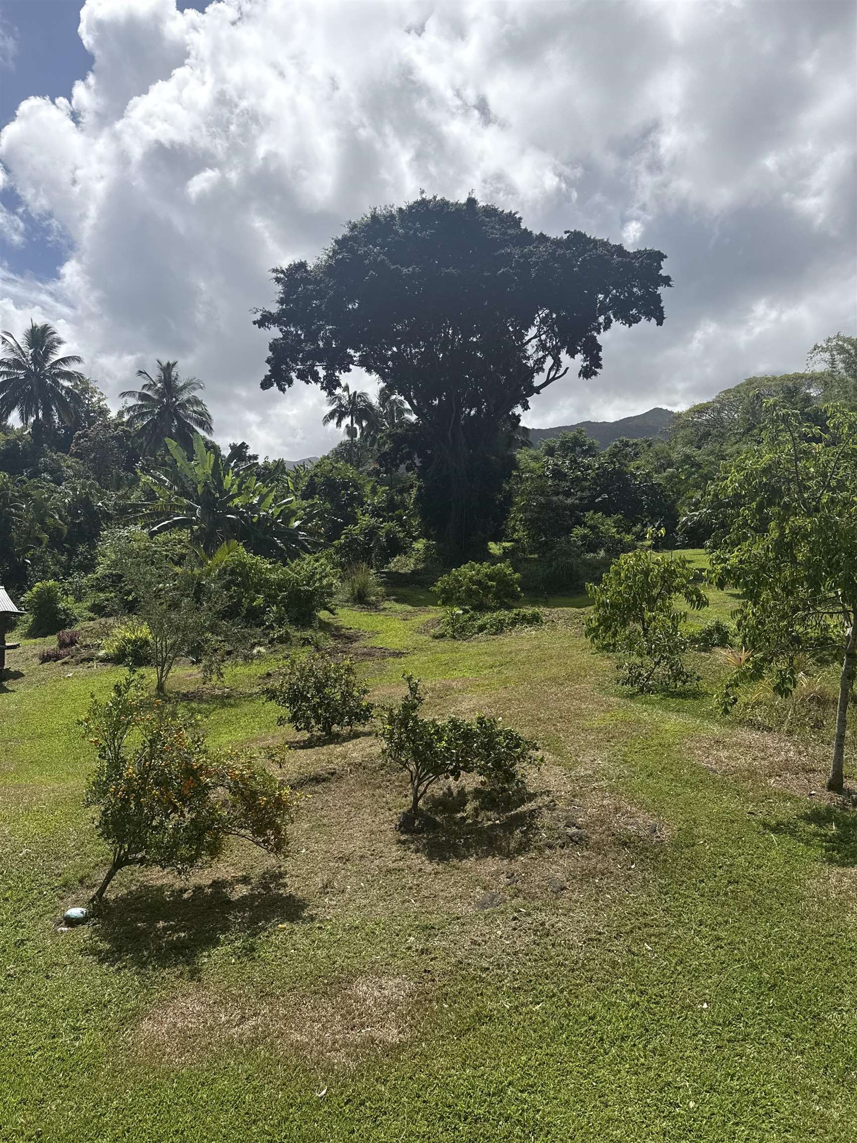 315 Uwala Road Hana, HI 96713 - Photo 25 of 30