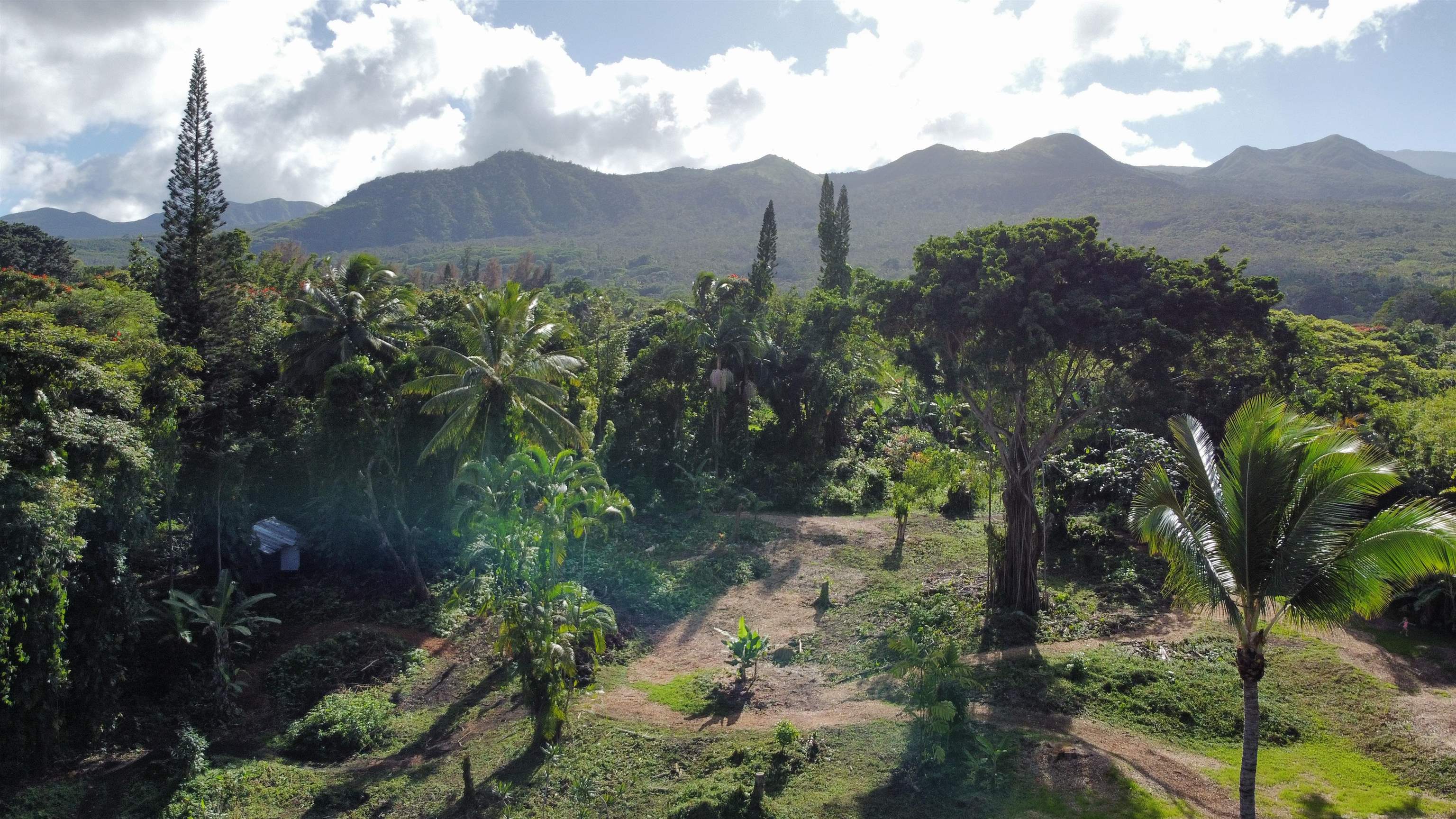 315 Uwala Road Hana, HI 96713 - Photo 30 of 30