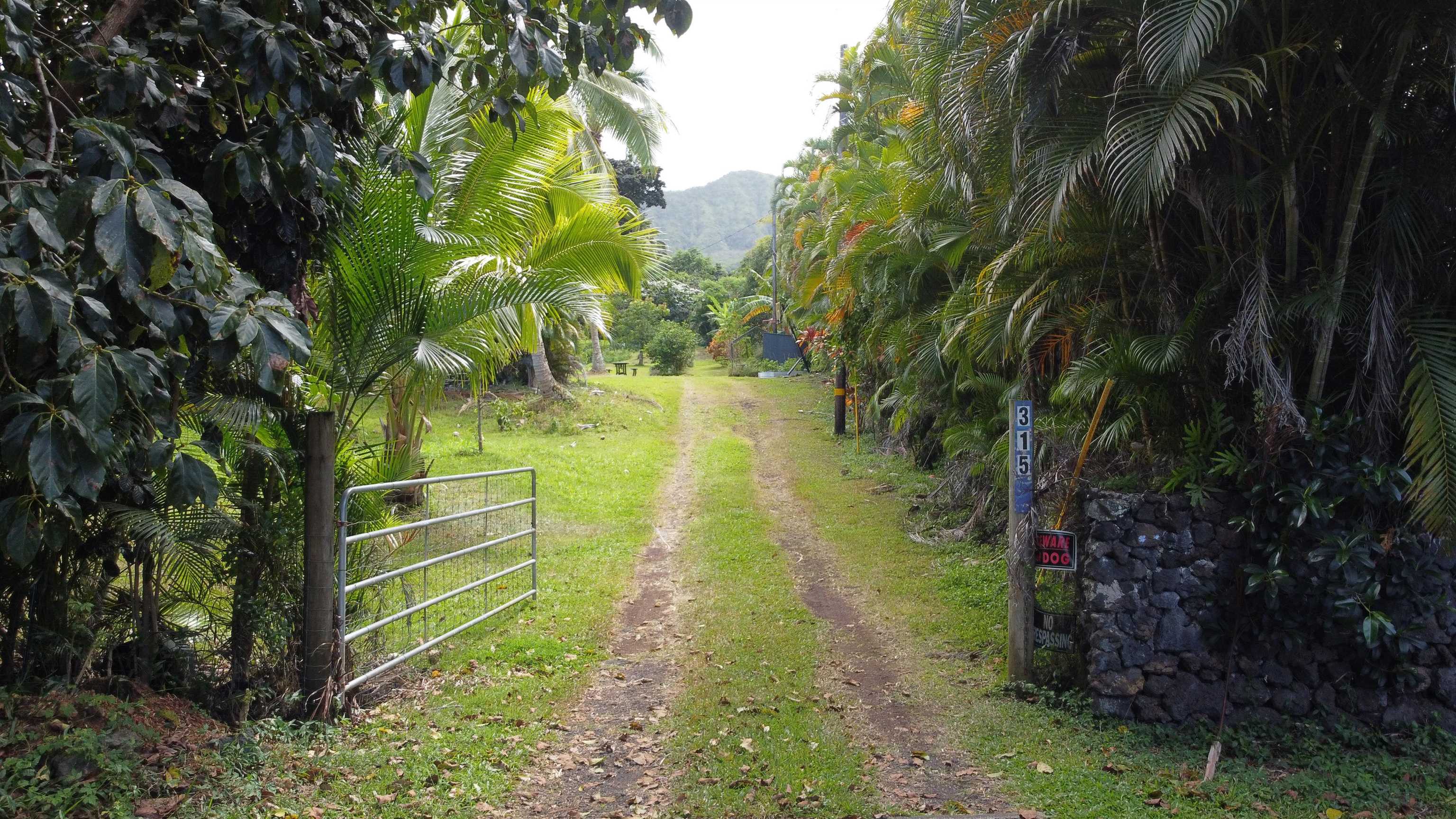 315 Uwala Road Hana, HI 96713 - Photo 3 of 30
