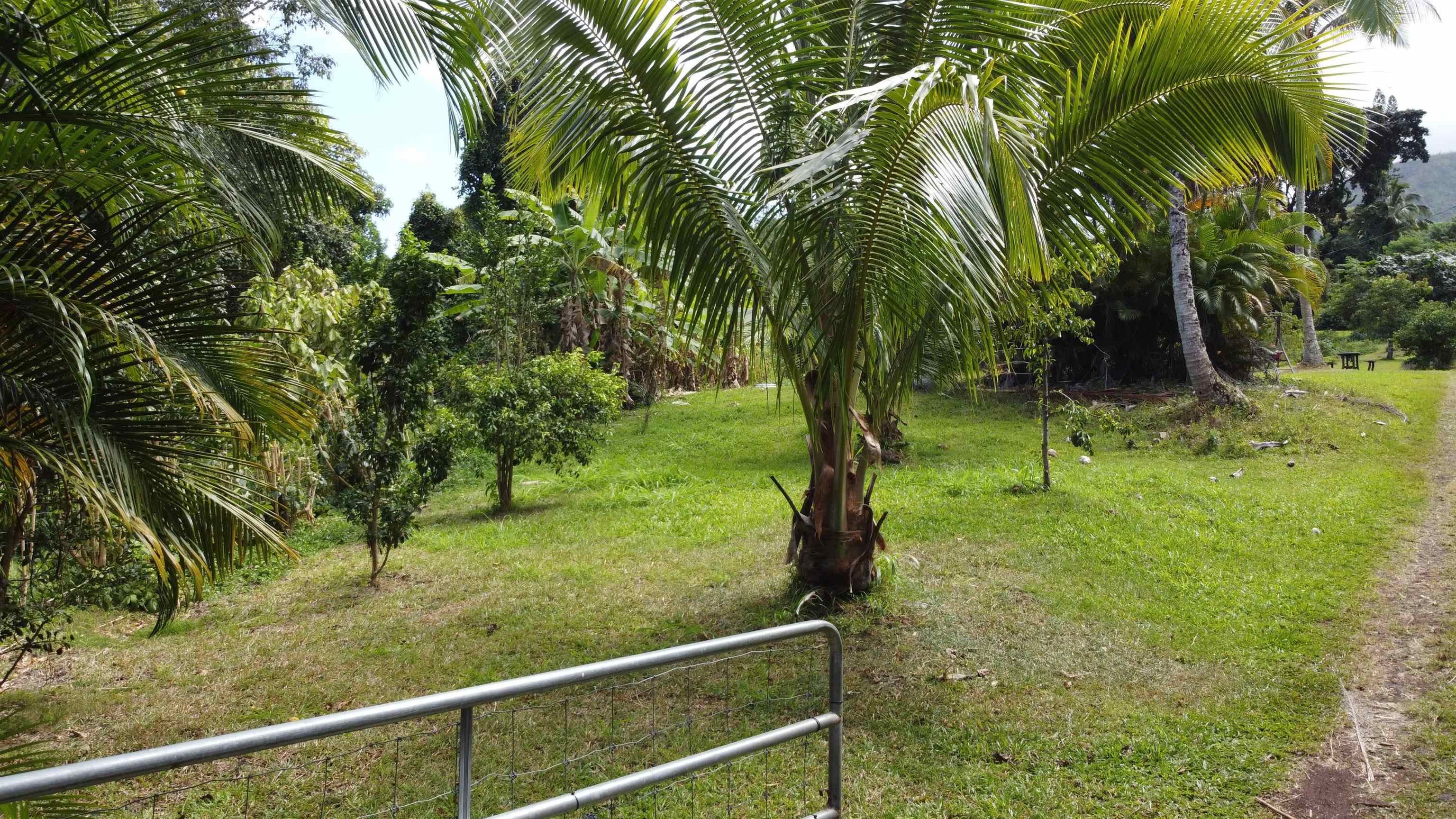 315 Uwala Road Hana, HI 96713 - Photo 4 of 30