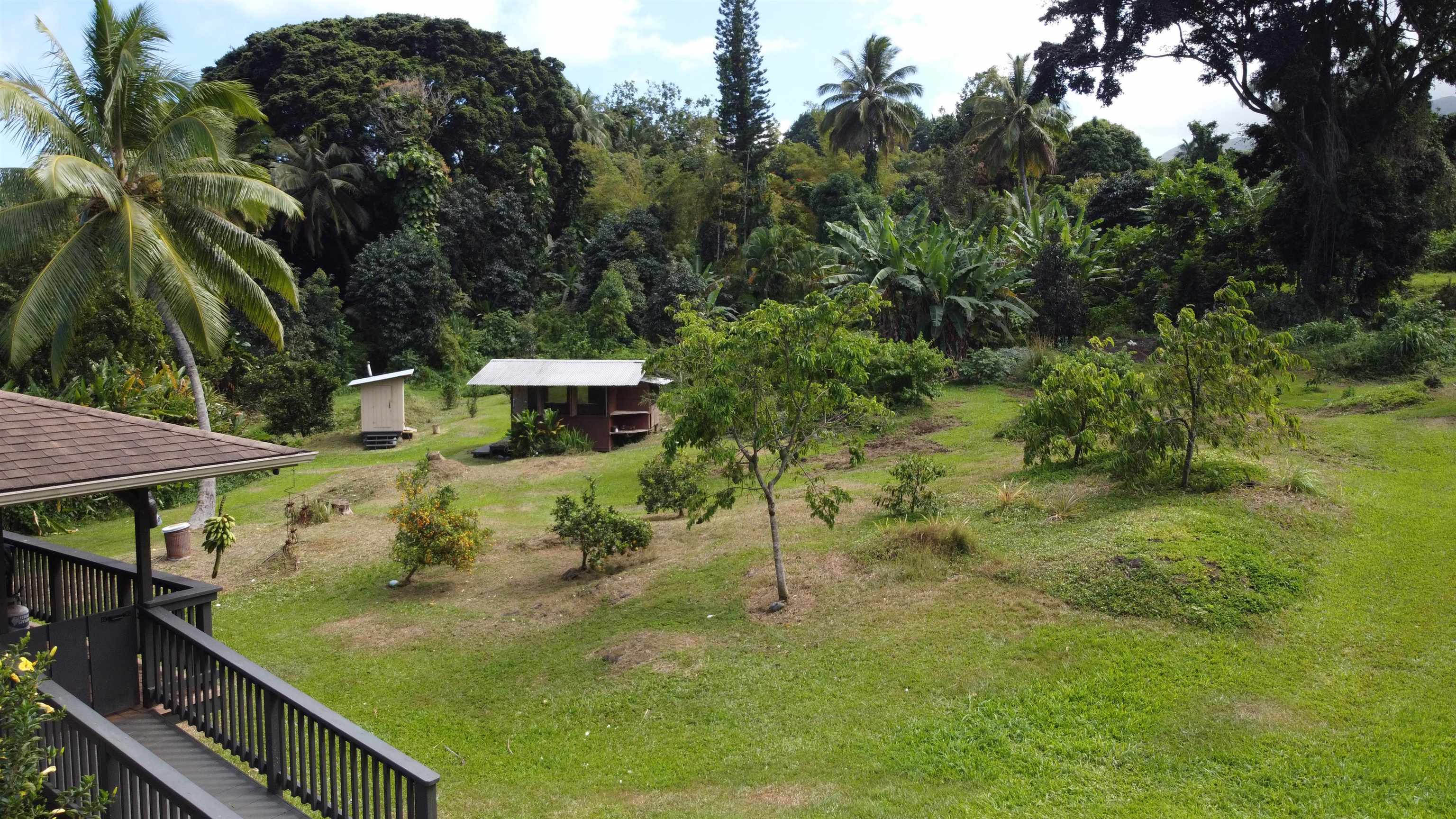 315 Uwala Road Hana, HI 96713 - Photo 9 of 30