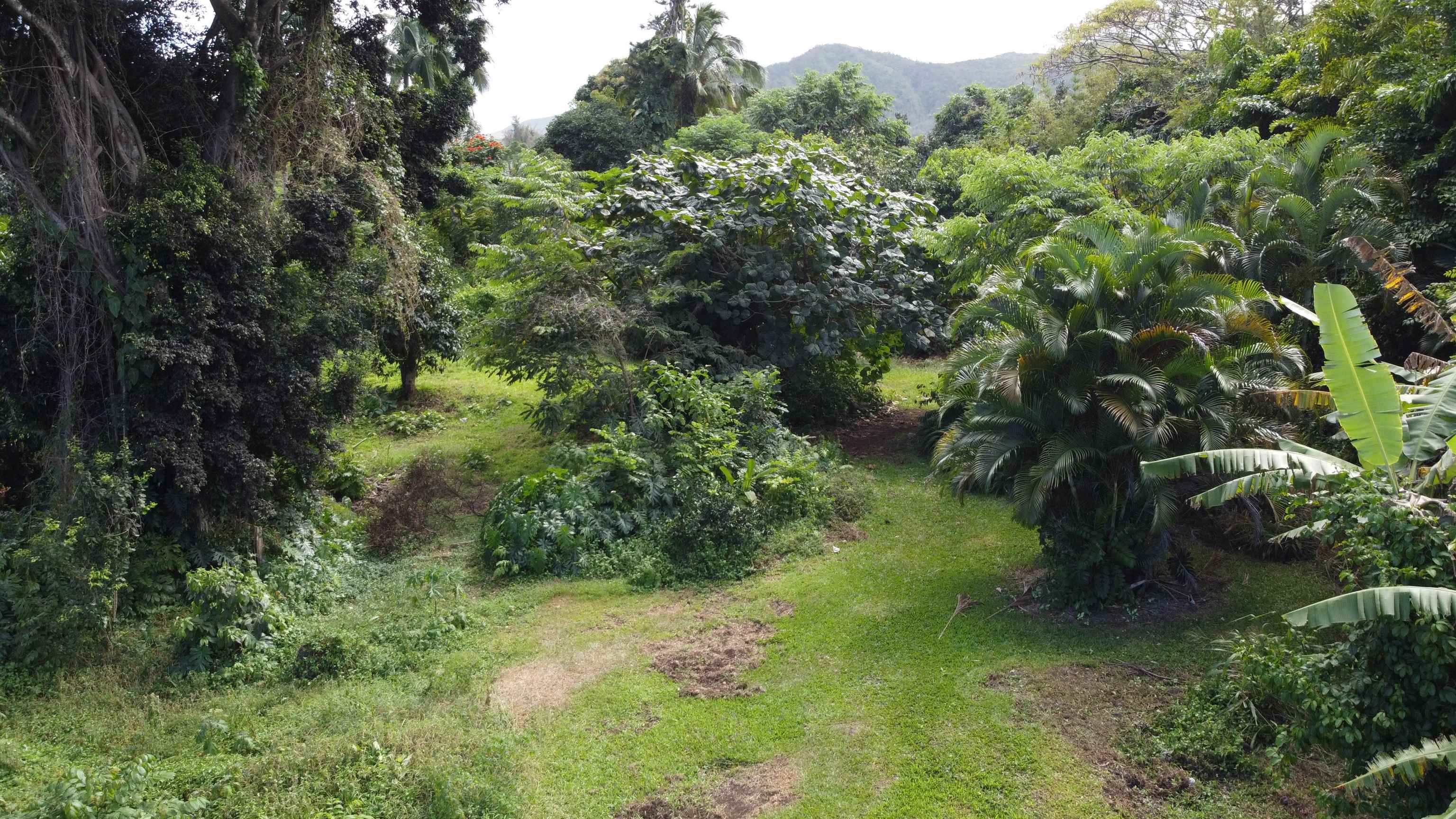 315 Uwala Road Hana, HI 96713 - Photo 10 of 30