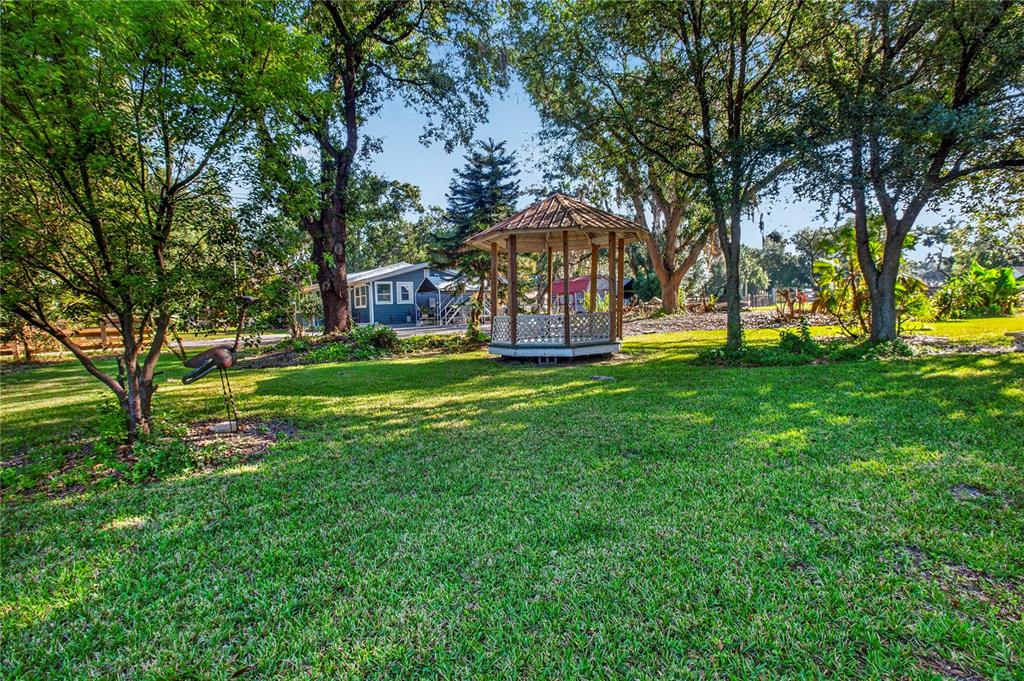 10627 McIntosh Road Thonotosassa, FL 33592 - Photo 15 of 38 a view of a park with large trees