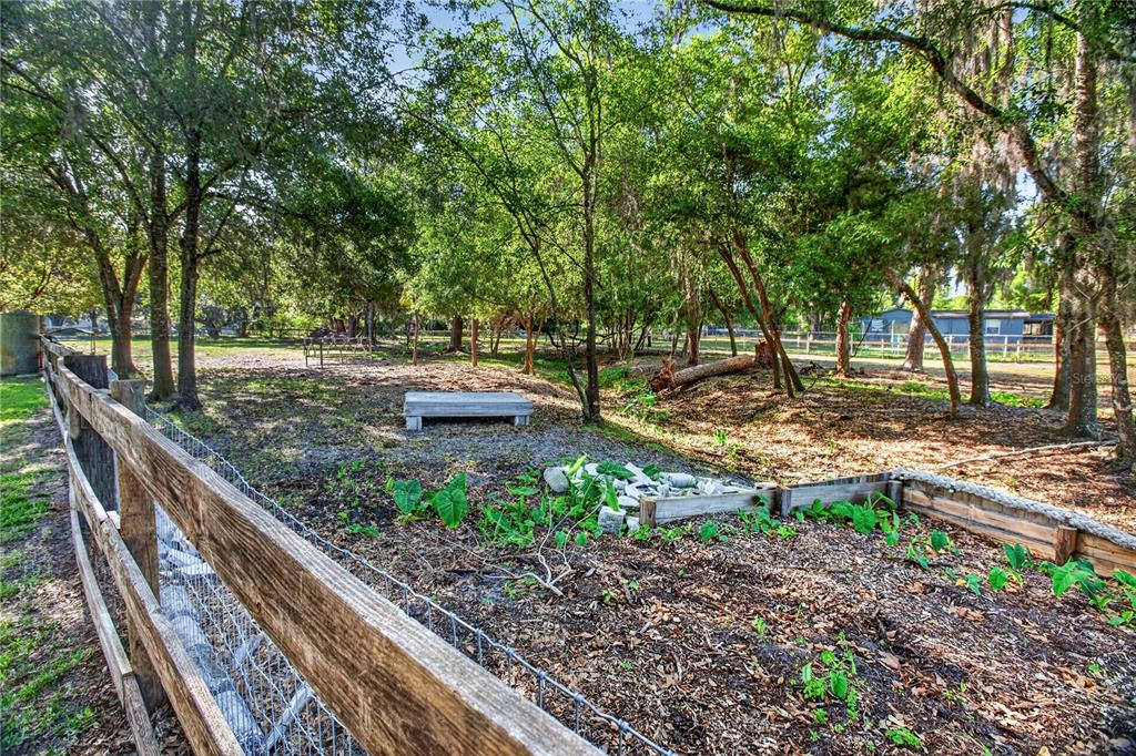 10627 McIntosh Road Thonotosassa, FL 33592 - Photo 17 of 38 a view of a backyard with large trees