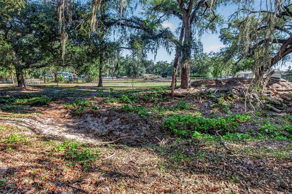 10627 McIntosh Road Thonotosassa, FL 33592 - Photo 20 of 38 a view of outdoor space with trees