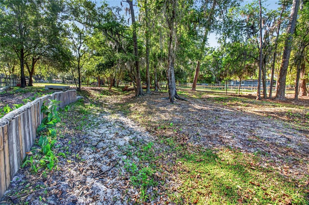 10627 McIntosh Road Thonotosassa, FL 33592 - Photo 22 of 38 a view of backyard with green space