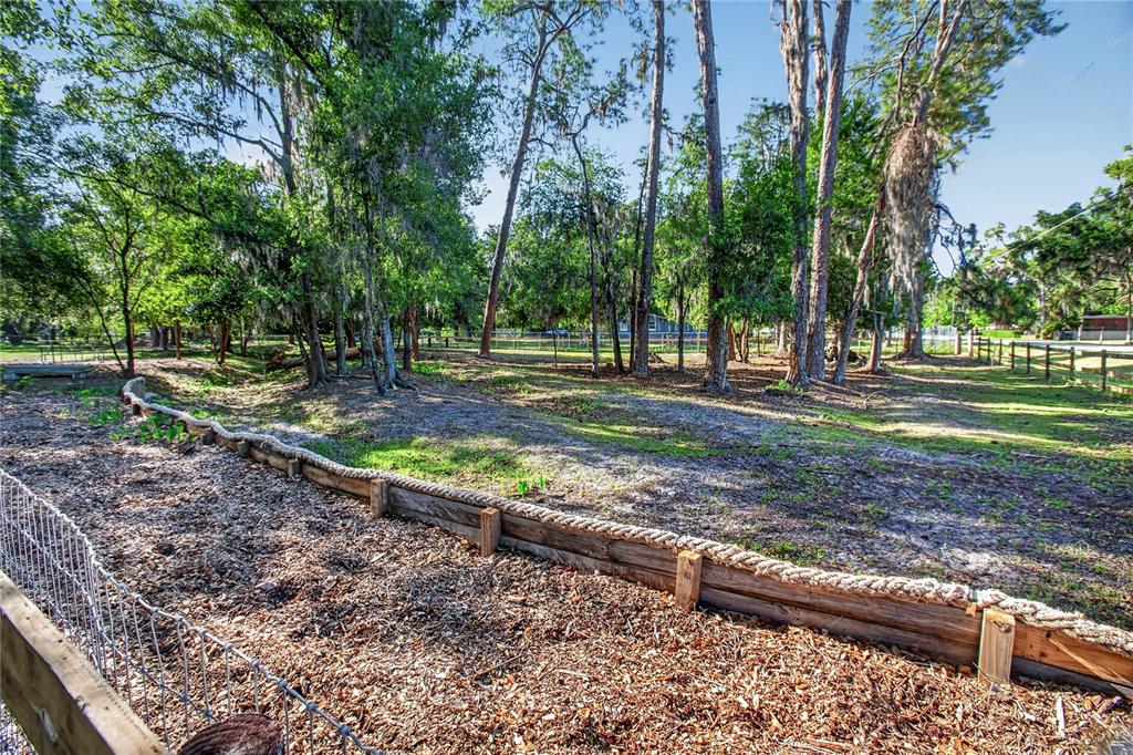 10627 McIntosh Road Thonotosassa, FL 33592 - Photo 23 of 38 a view of a yard with plants and trees