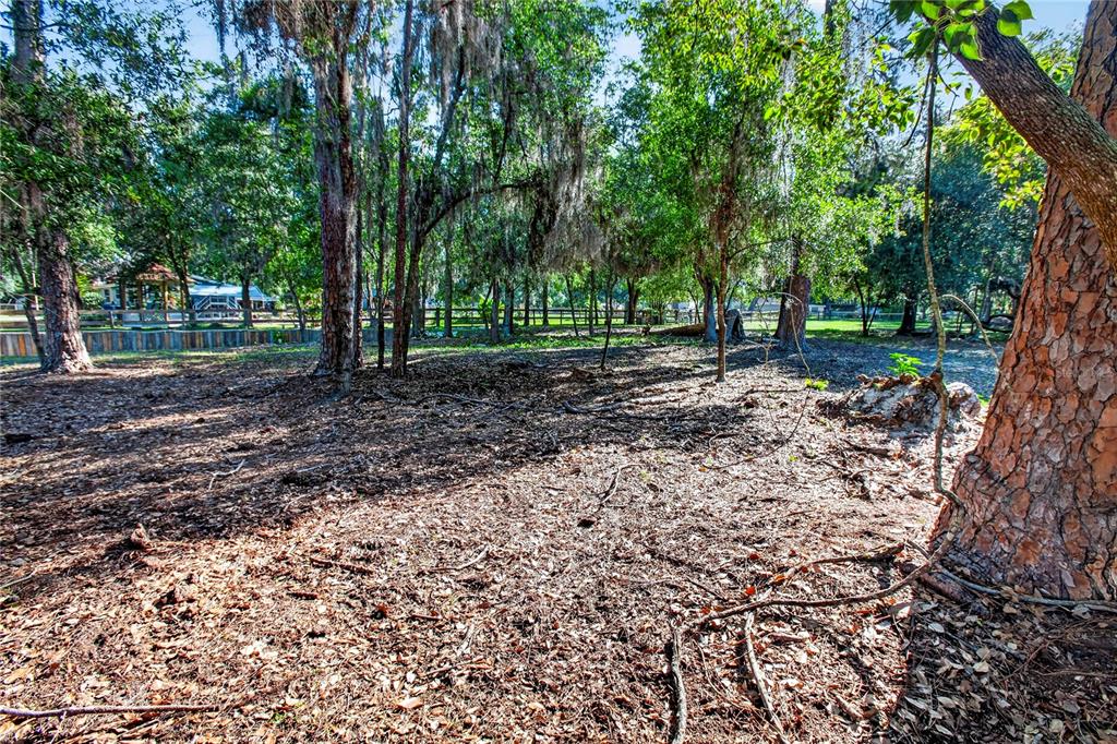 10627 McIntosh Road Thonotosassa, FL 33592 - Photo 27 of 38 a view of a backyard with trees