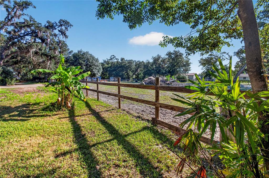10627 McIntosh Road Thonotosassa, FL 33592 - Photo 31 of 38 a view of a yard with a tree
