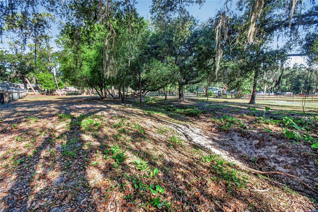 10627 McIntosh Road Thonotosassa, FL 33592 - Photo 36 of 38 a view of a yard with plants and trees