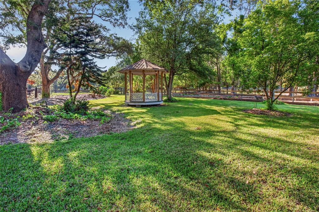 10627 McIntosh Road Thonotosassa, FL 33592 - Photo 37 of 38 a view of a park with large trees
