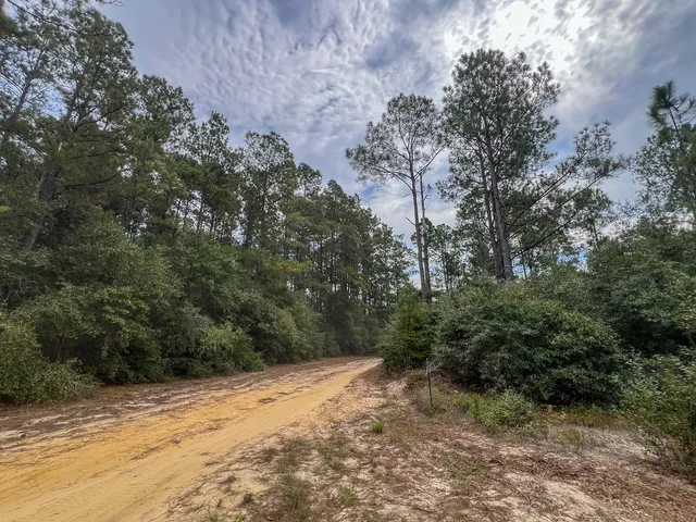 $180,000 | 4 Fm 1416, Bon Wier, TX 75928