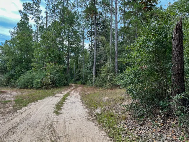 $180,000 | 4 Fm 1416, Bon Wier, TX 75928