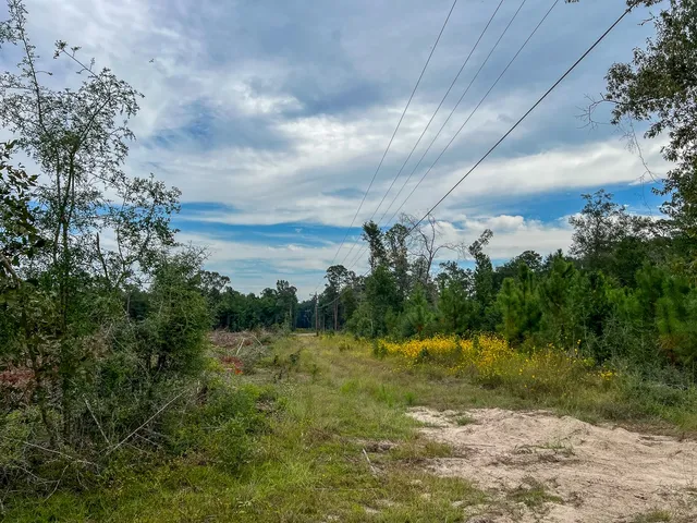 $180,000 | 4 Fm 1416, Bon Wier, TX 75928