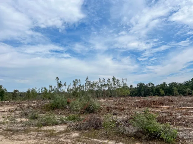 $180,000 | 4 Fm 1416, Bon Wier, TX 75928