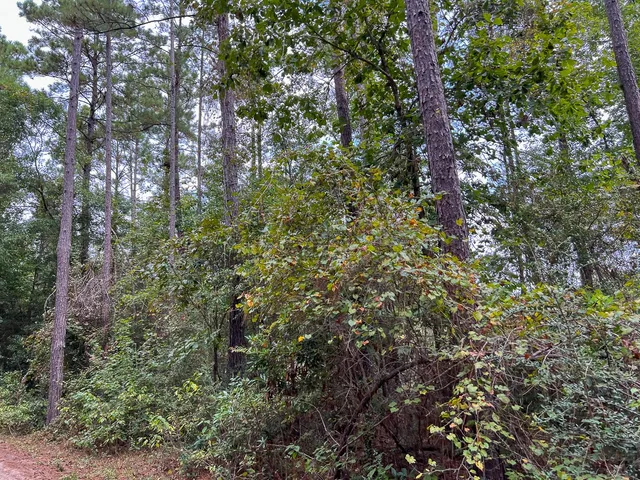 $180,000 | 4 Fm 1416, Bon Wier, TX 75928