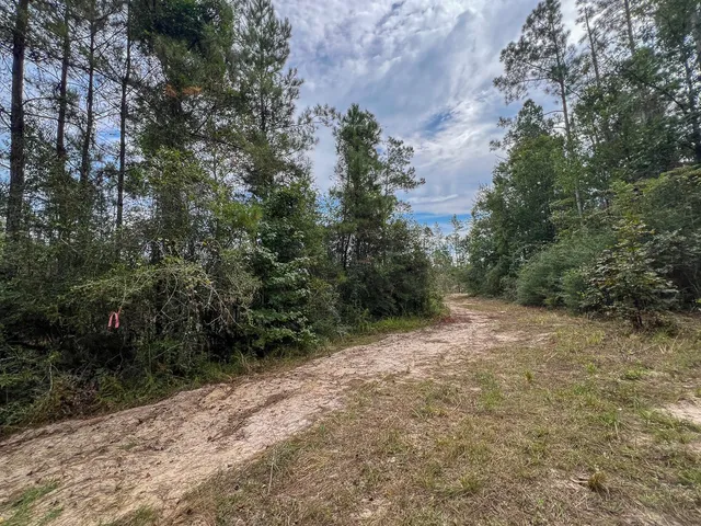 $180,000 | 4 Fm 1416, Bon Wier, TX 75928