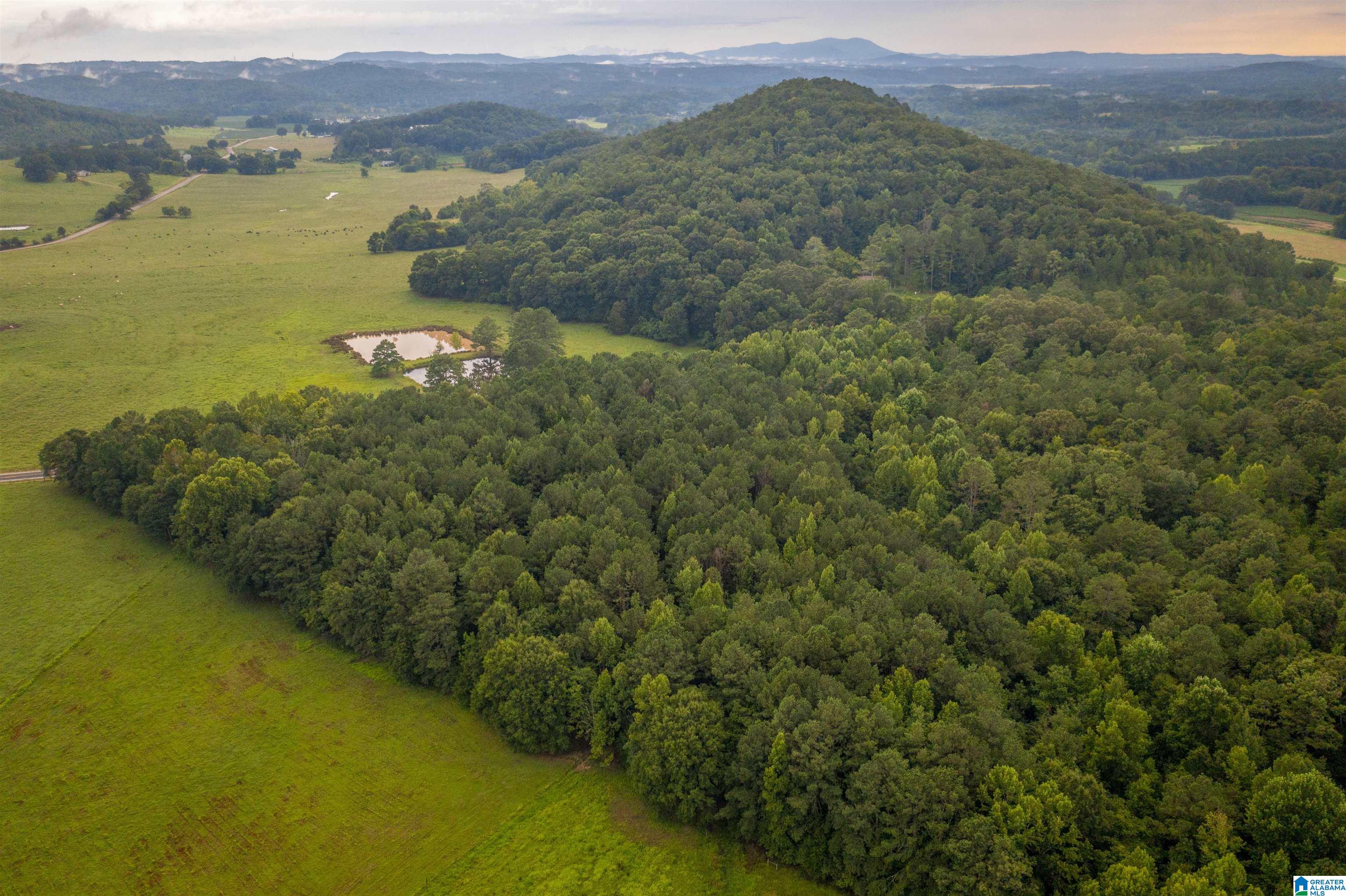 0 Iron City Cutoff Road, Unit 4 Anniston, AL 36207 - Photo 11 of 19