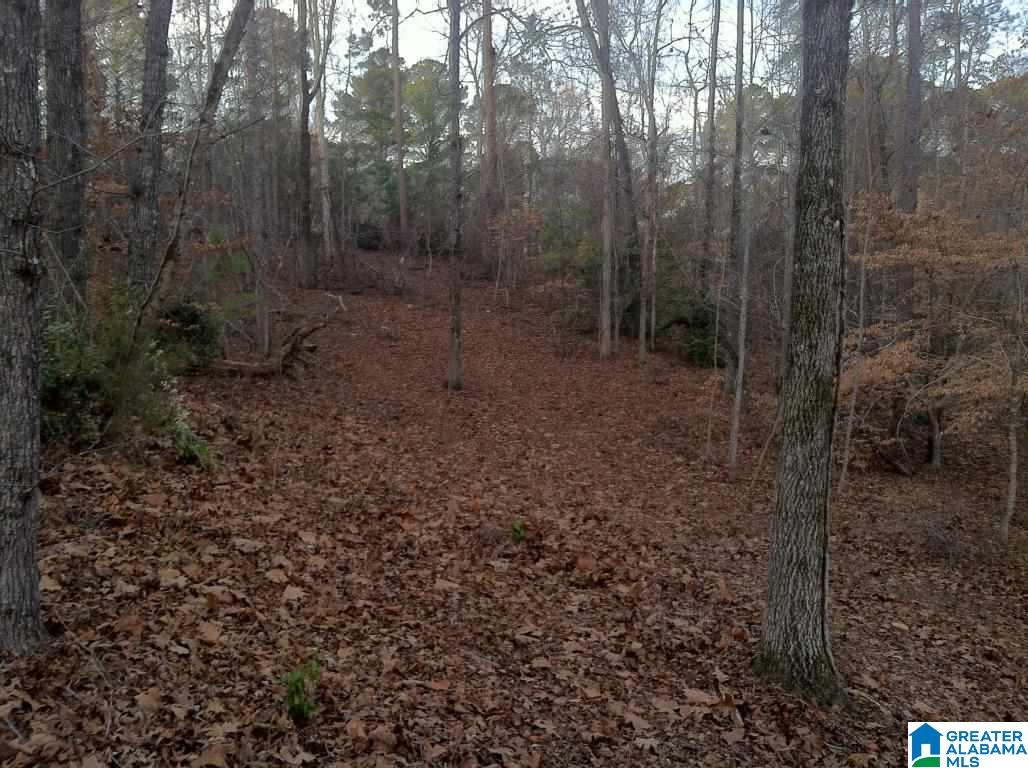 102 Hickory Way, Unit 56 ACRES Dadeville, AL 36853 - Photo 14 of 14