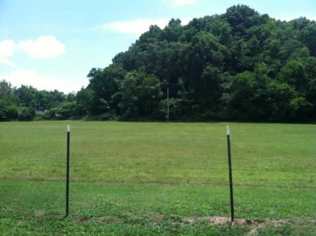 8217 Pickard Hollow Road Mount Pleasant, TN 38474 - Photo 11 of 12 PASTURE BEHIND MOBILE HOME