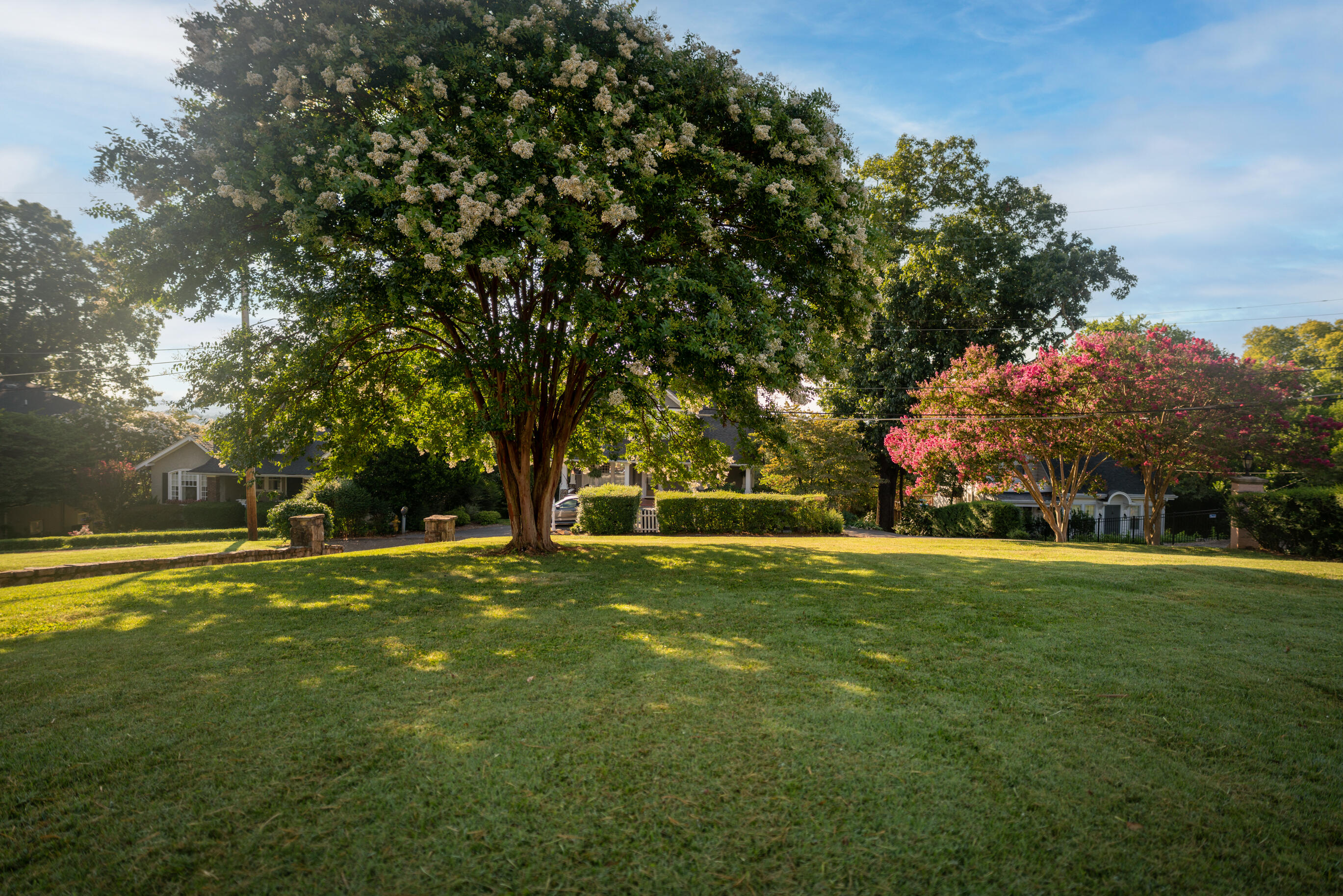 75 South Crest Road Chattanooga, TN 37404 - Photo 6 of 94 _DSC7782-Edit