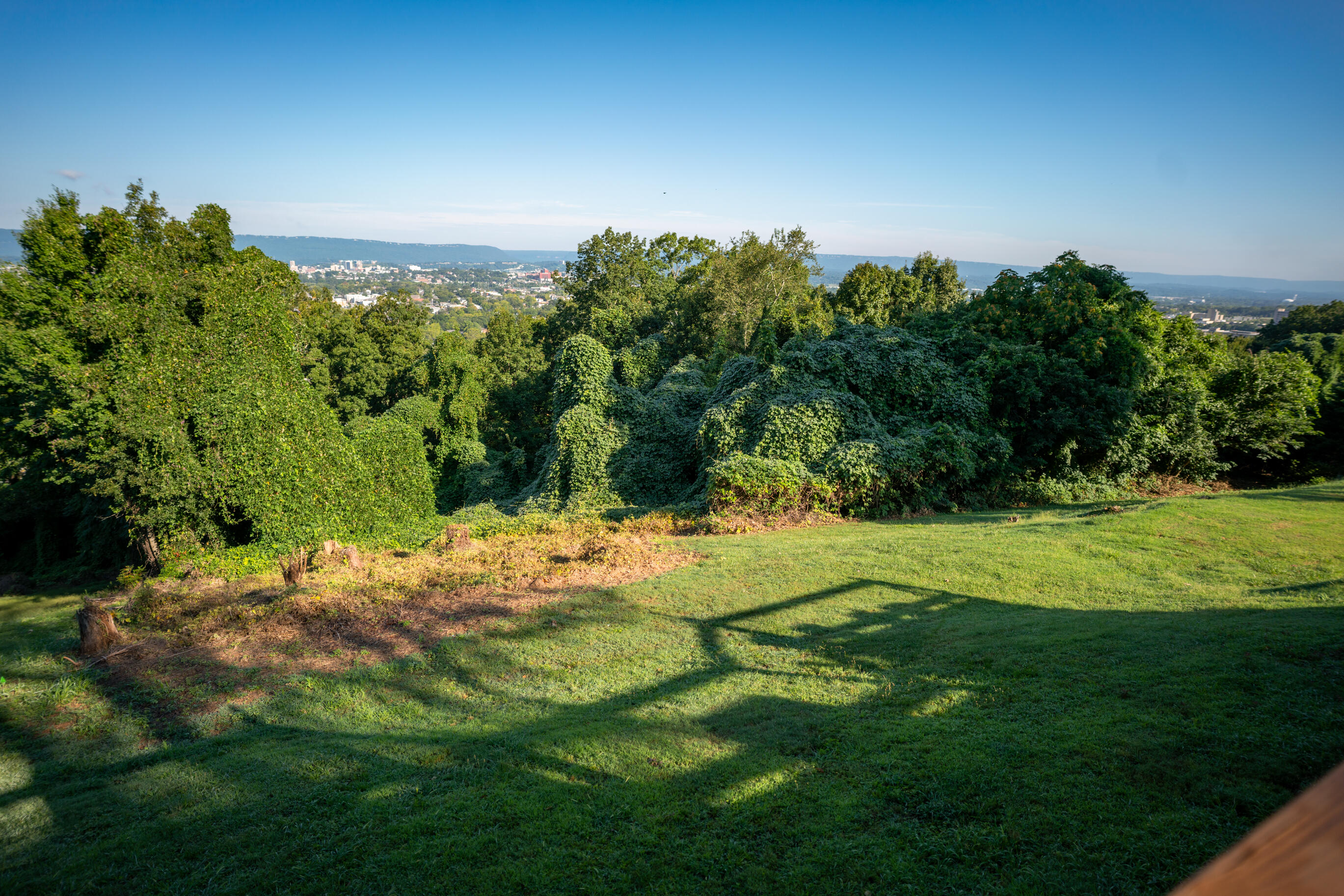 75 South Crest Road Chattanooga, TN 37404 - Photo 86 of 94 _DSC7826-Edit